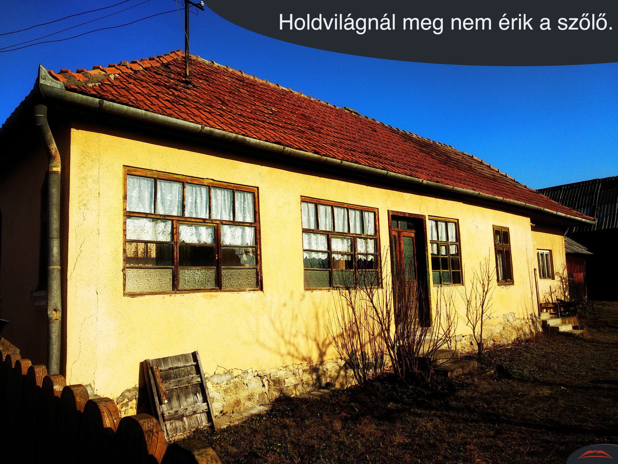 Holdvilágnál meg nem érik a szőlő.