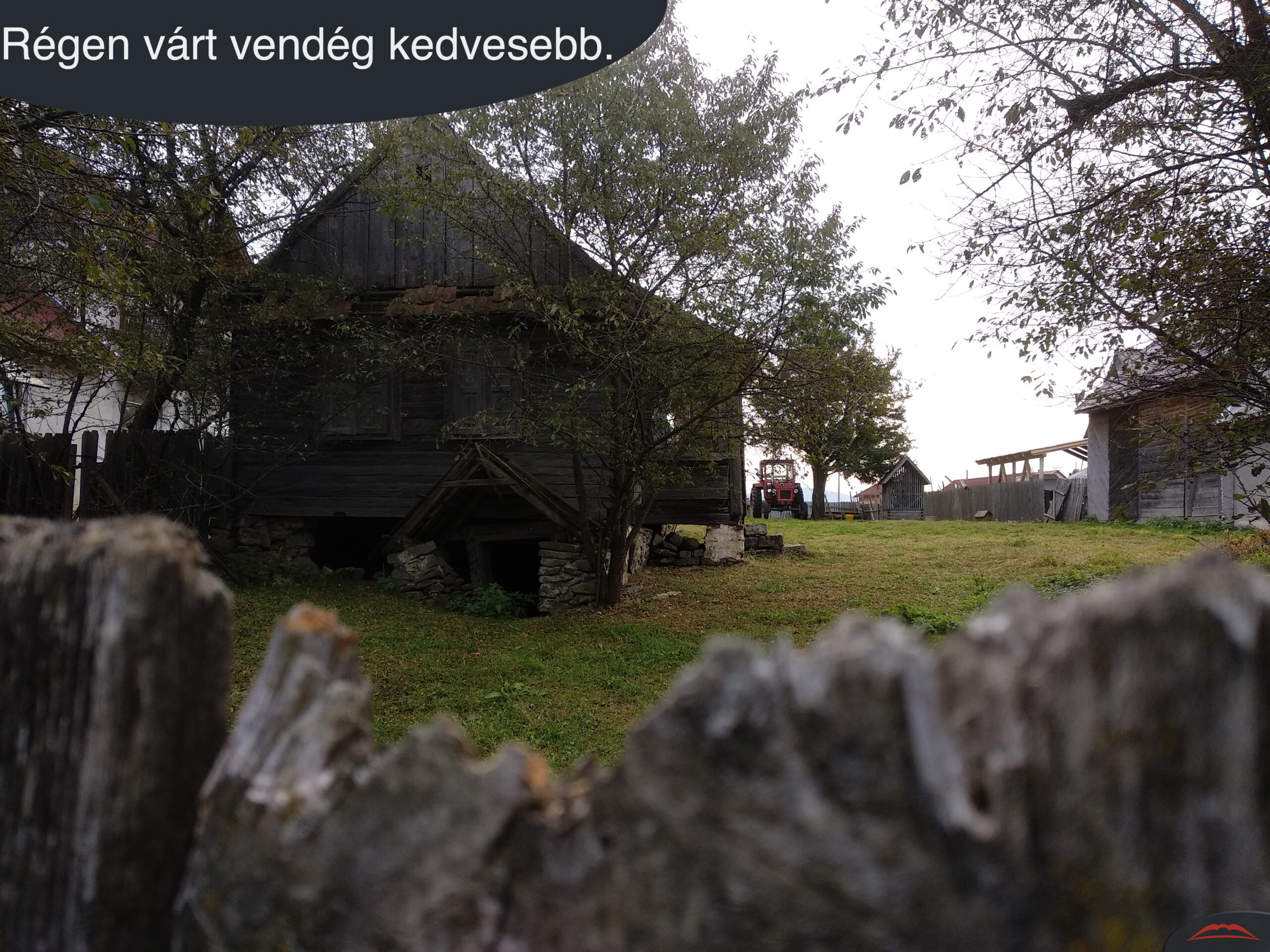 Régen várt vendég kedvesebb.