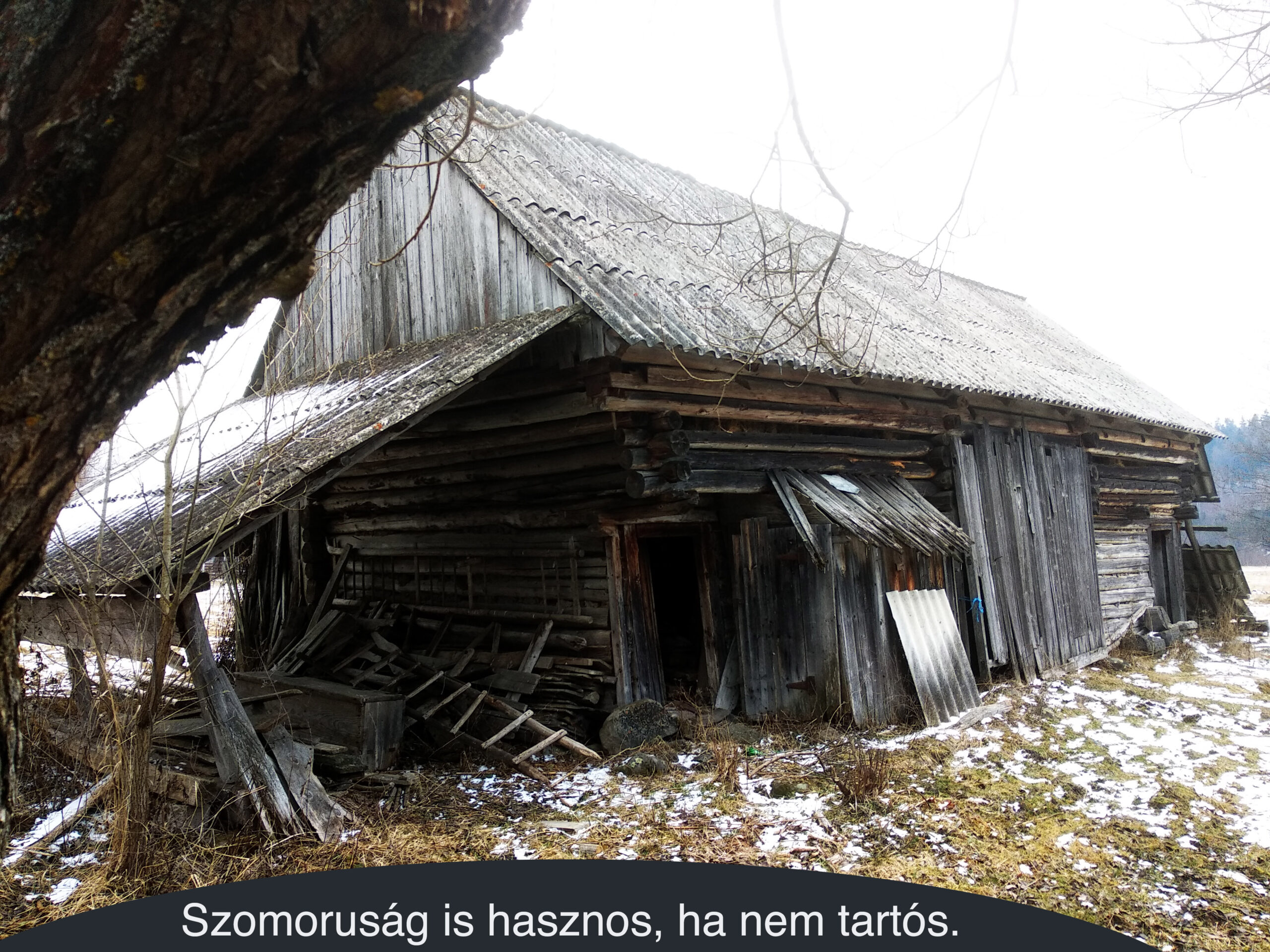 Szomoruság is hasznos, ha nem tartós.