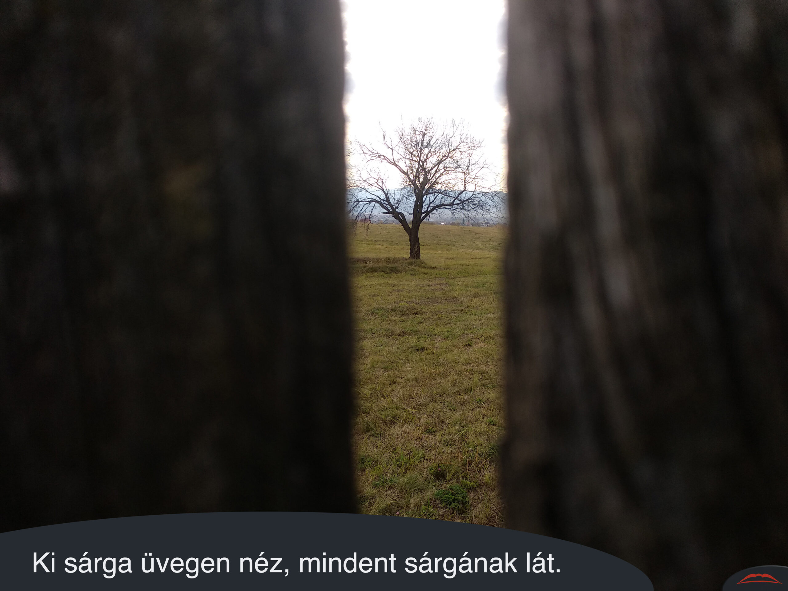 Ki sárga üvegen néz, mindent sárgának lát.