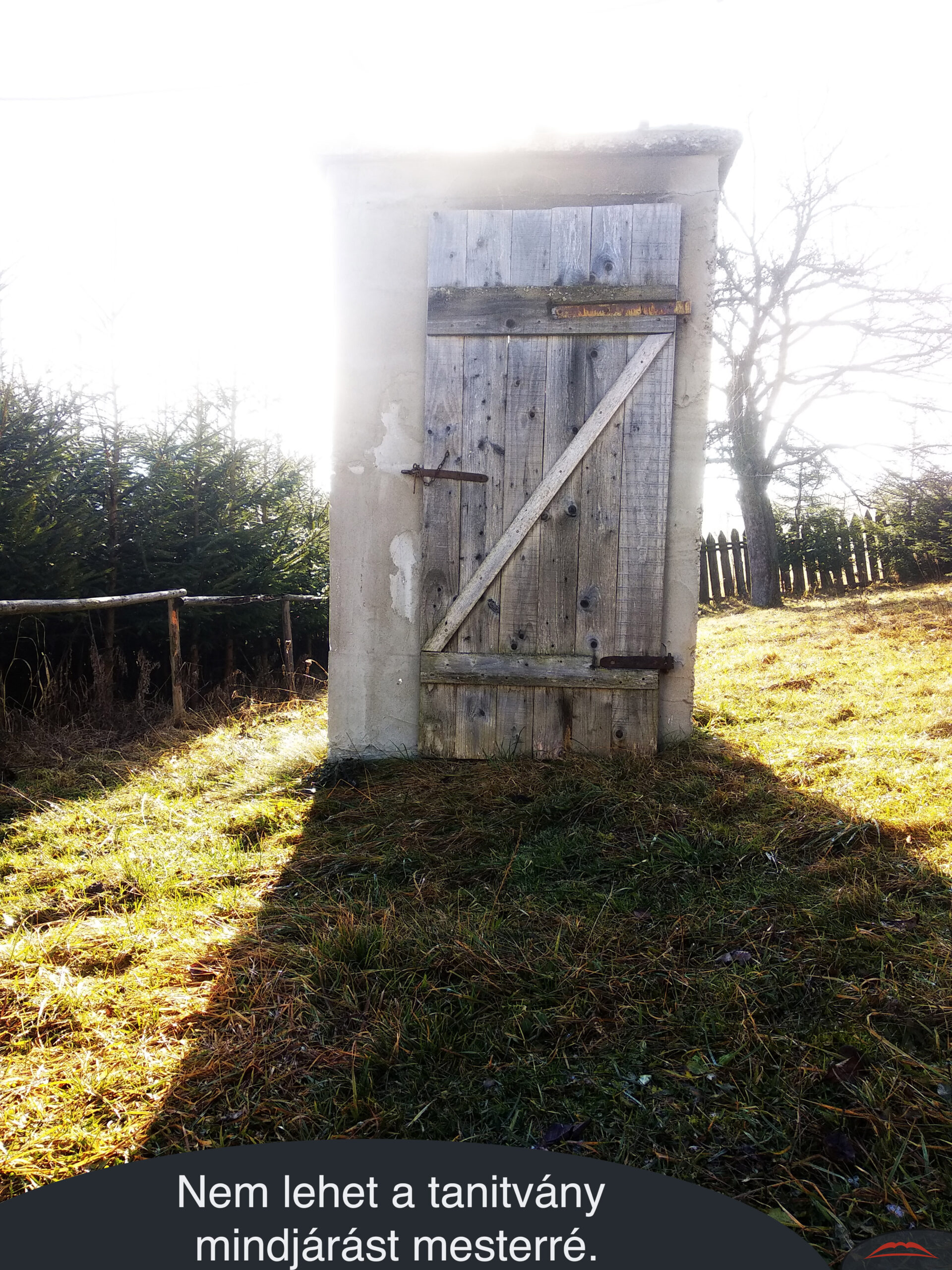 Nem lehet a tanitvány mindjárást mesterré.