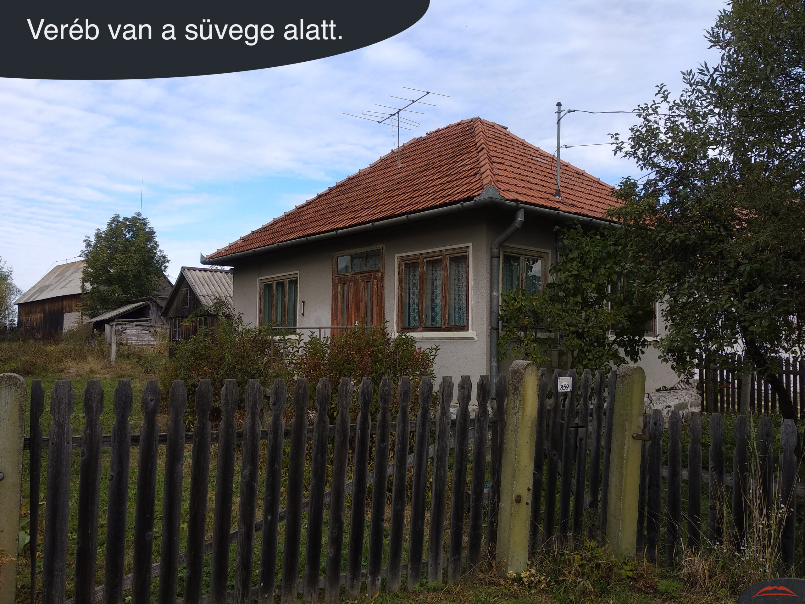 Veréb van a süvege alatt.