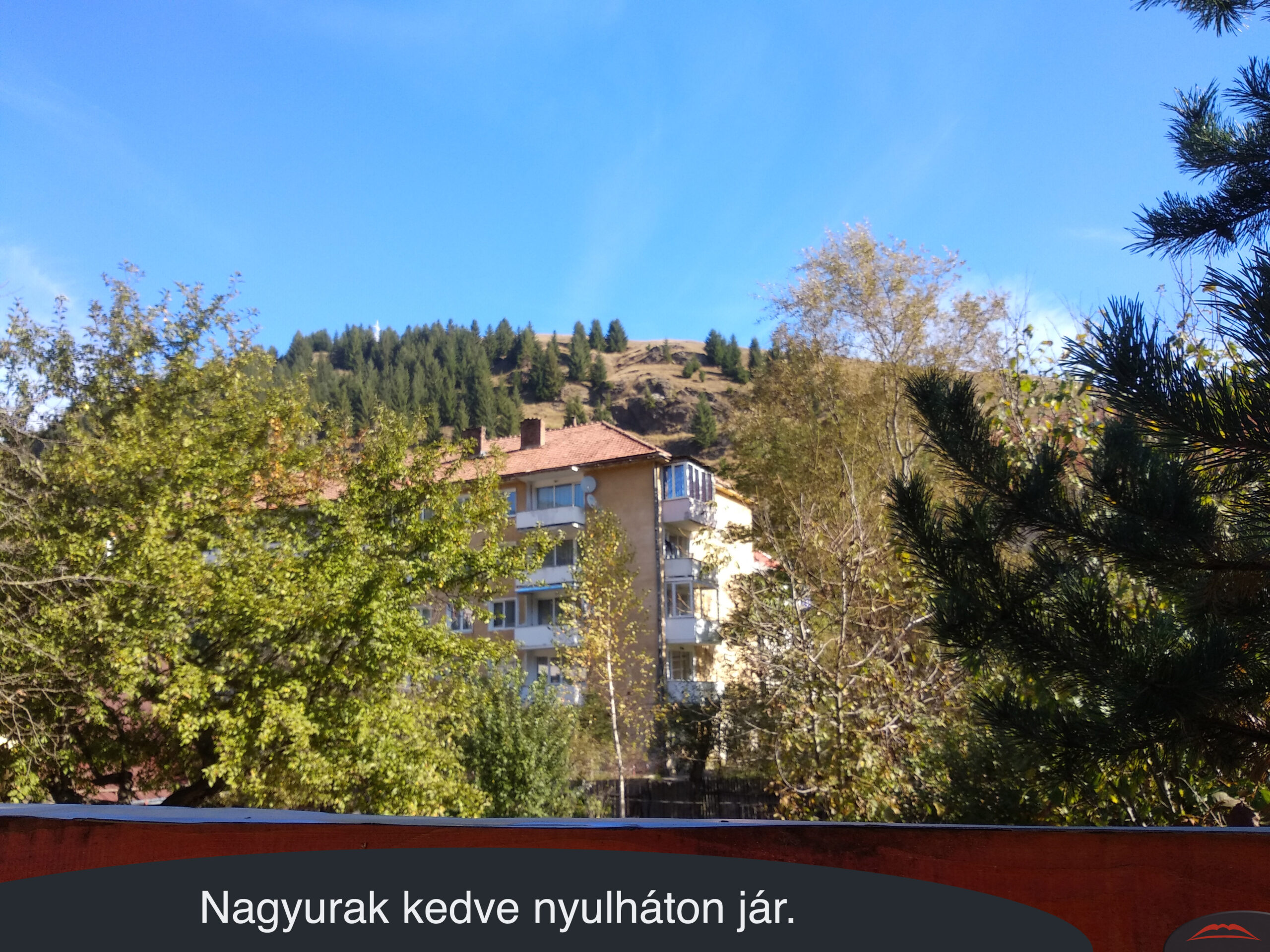 Nagyurak kedve nyulháton jár.