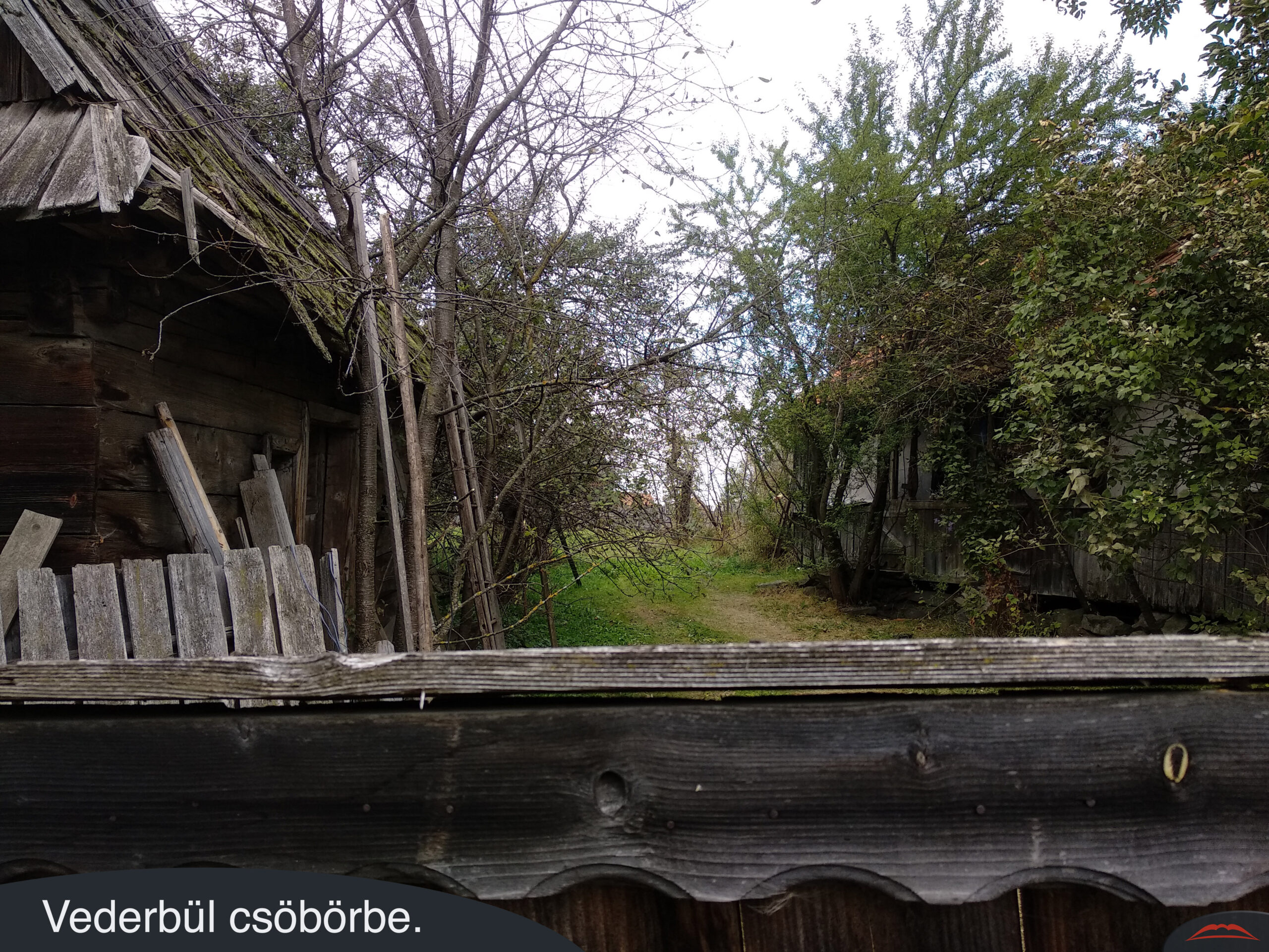 Vederbül csöbörbe.