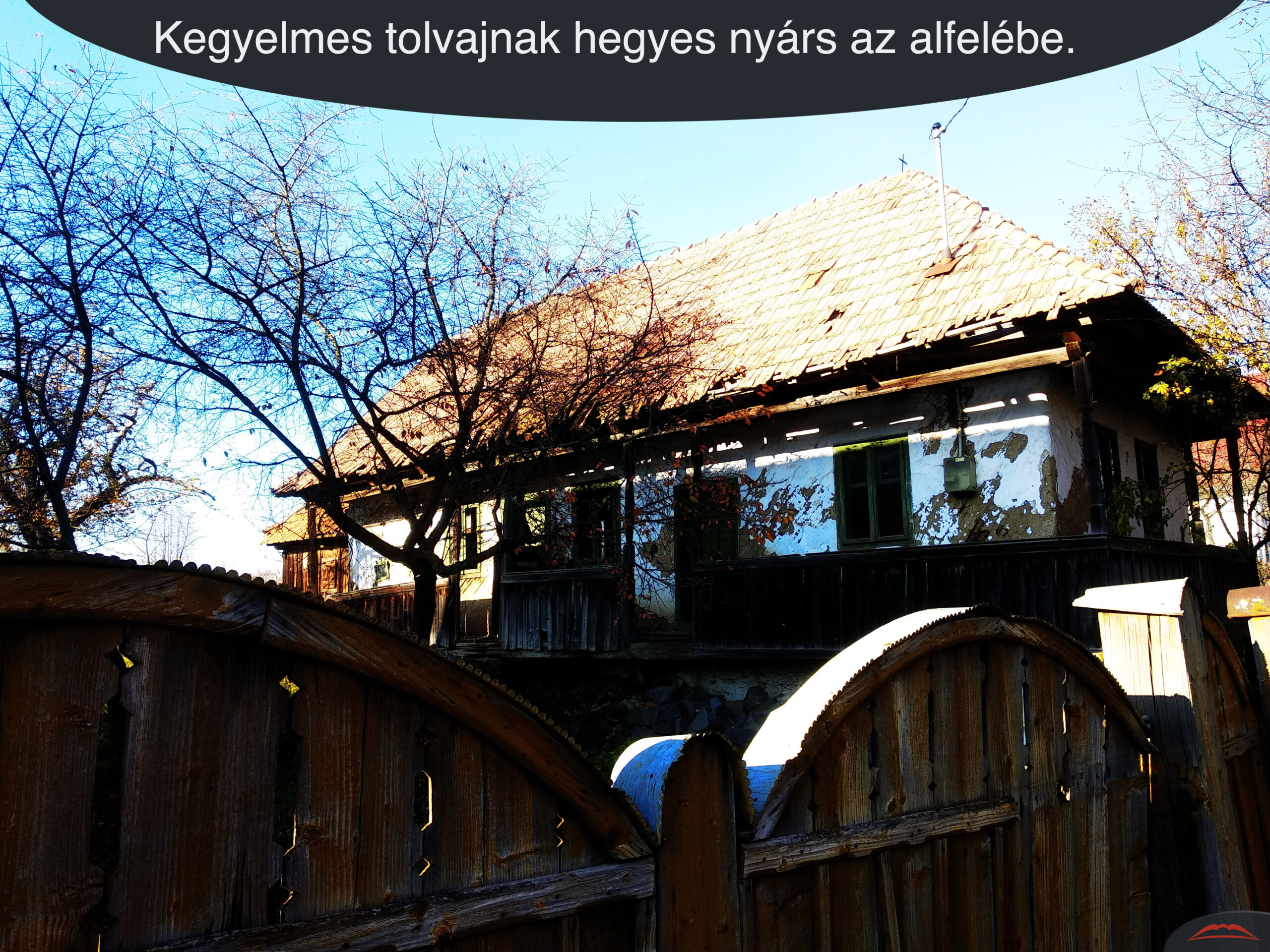 Kegyelmes tolvajnak hegyes nyárs az alfelébe.