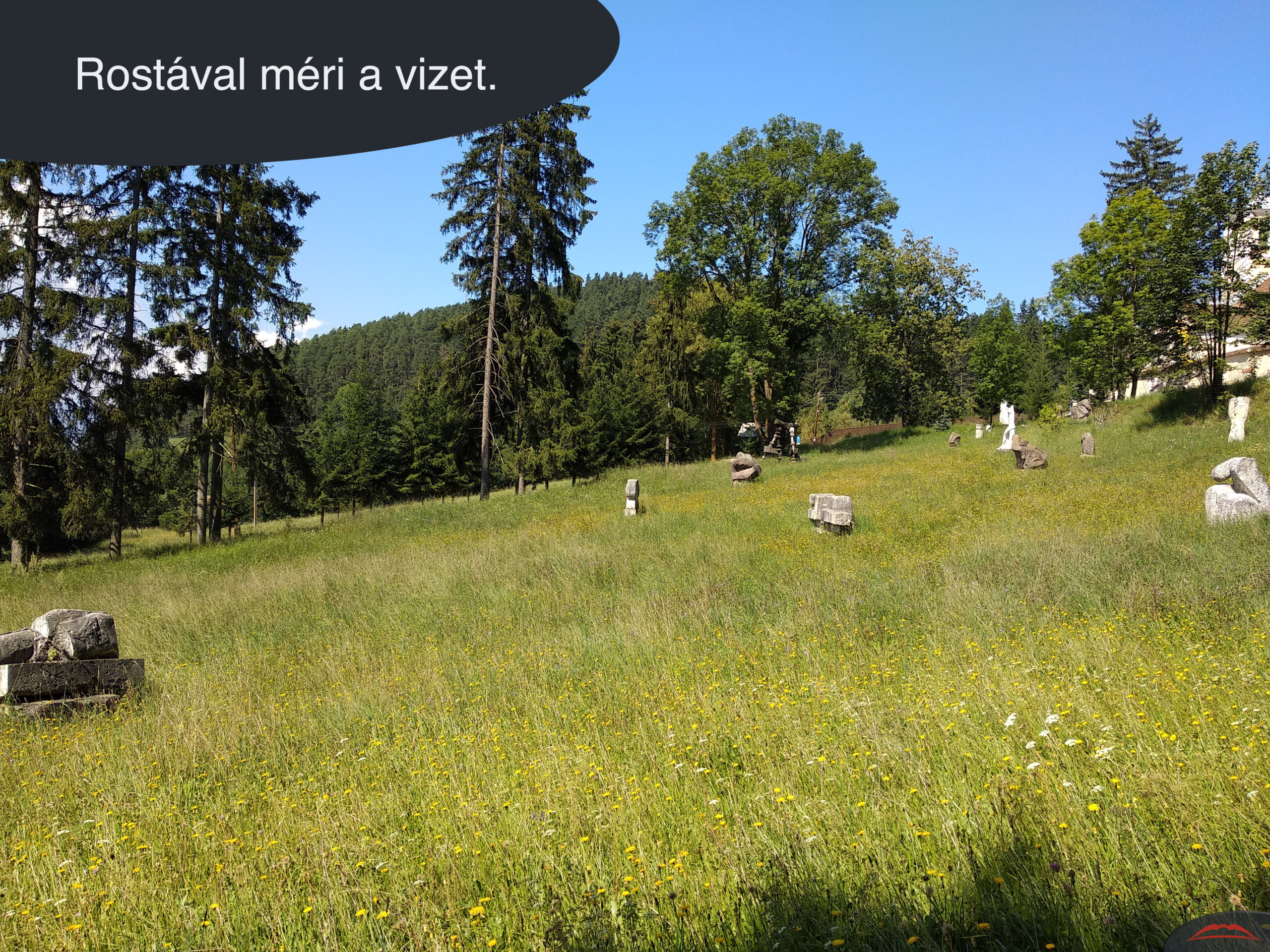 Rostával méri a vizet