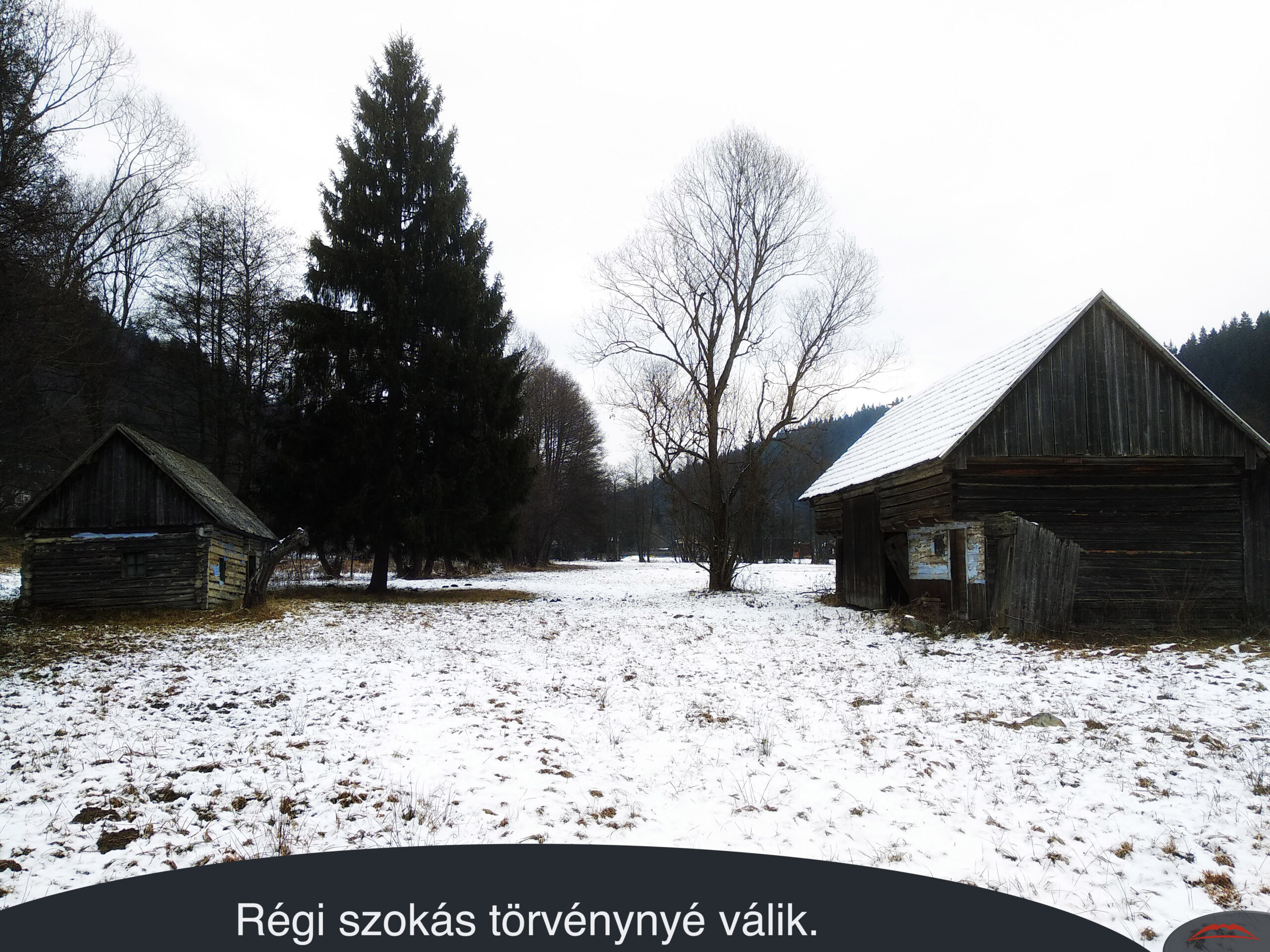 Régi szokás törvénynyé válik.