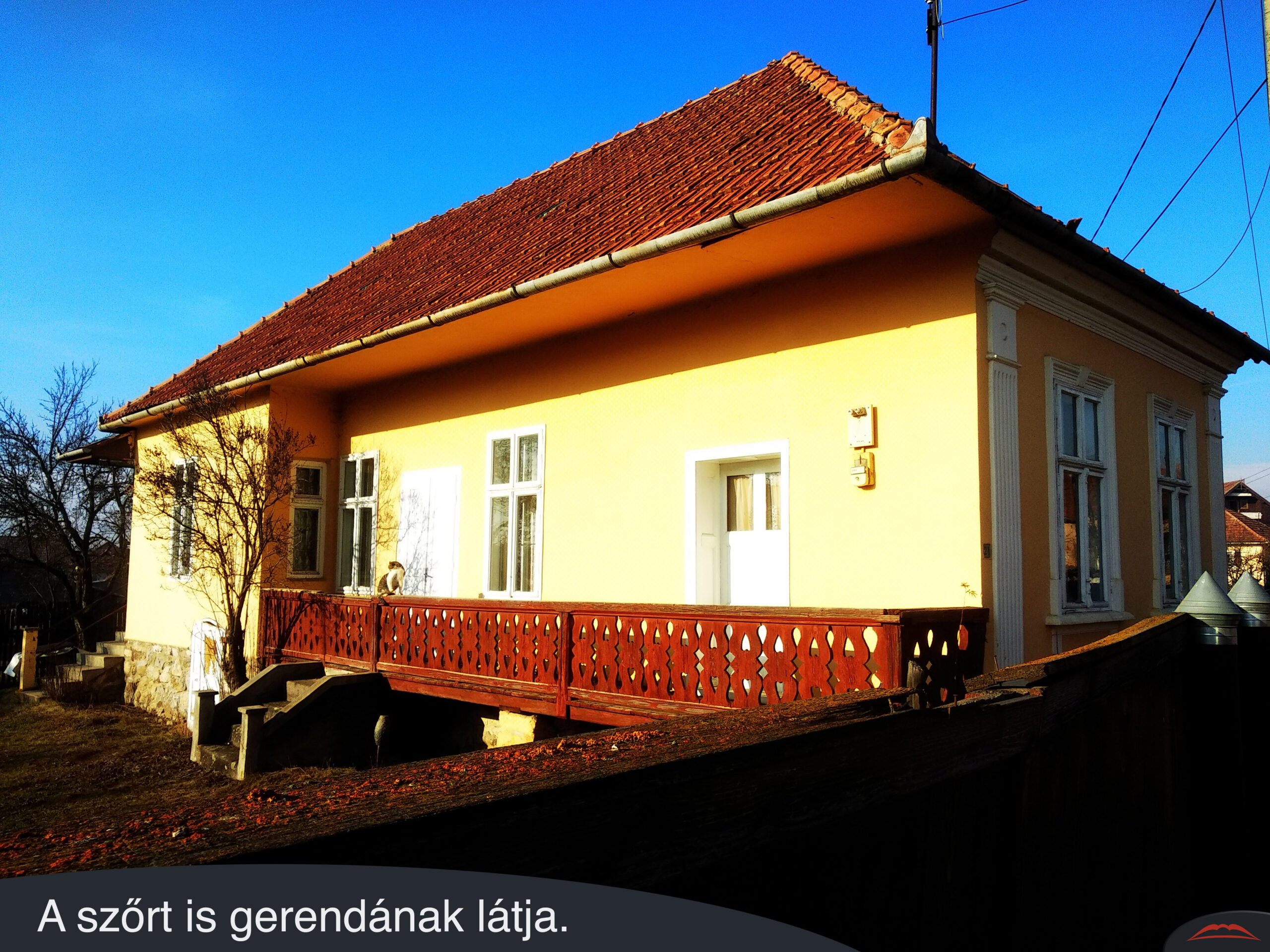 A szőrt is gerendának látja.