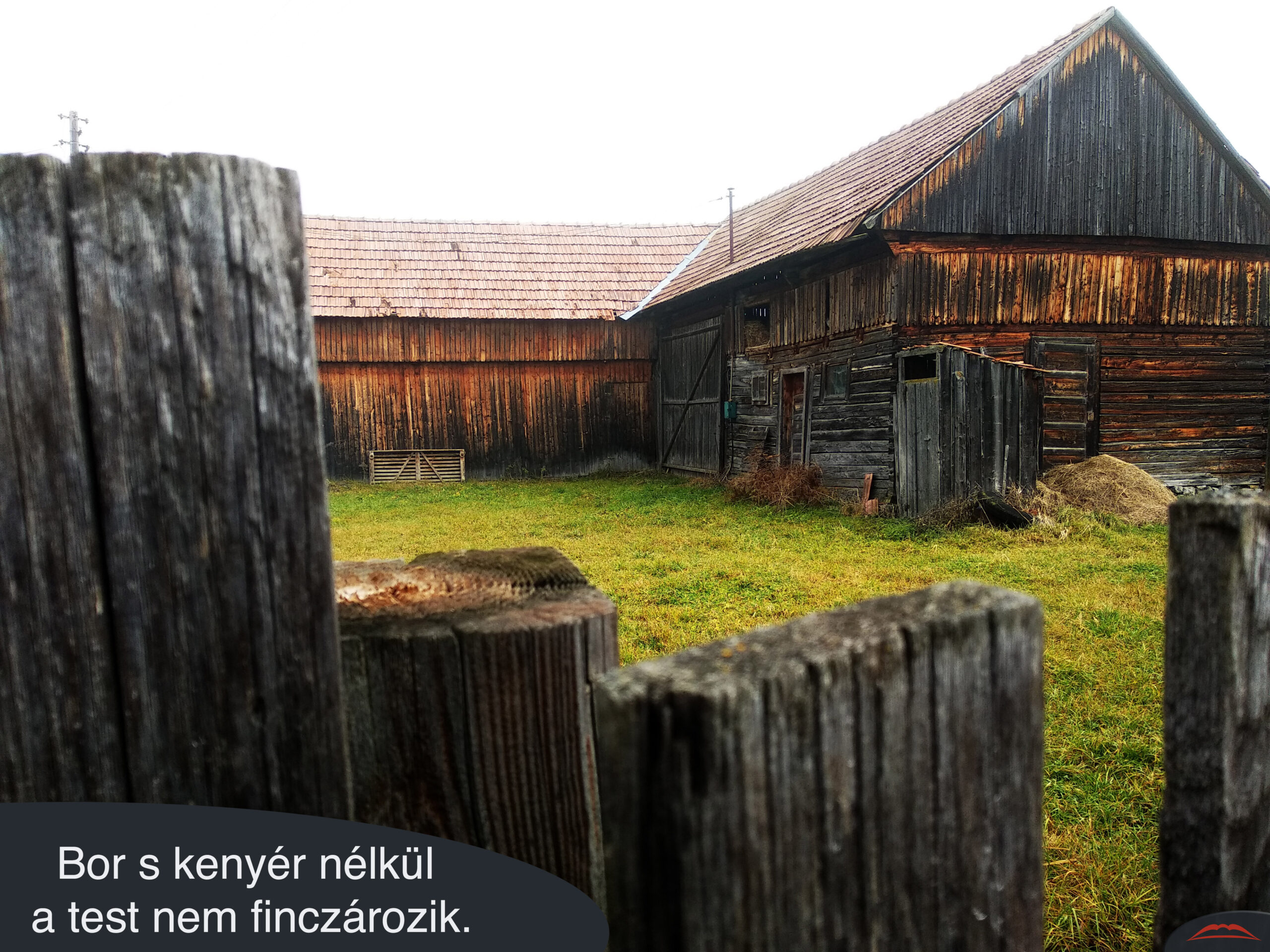 Bor s kenyér nélkül a test nem finczározik.