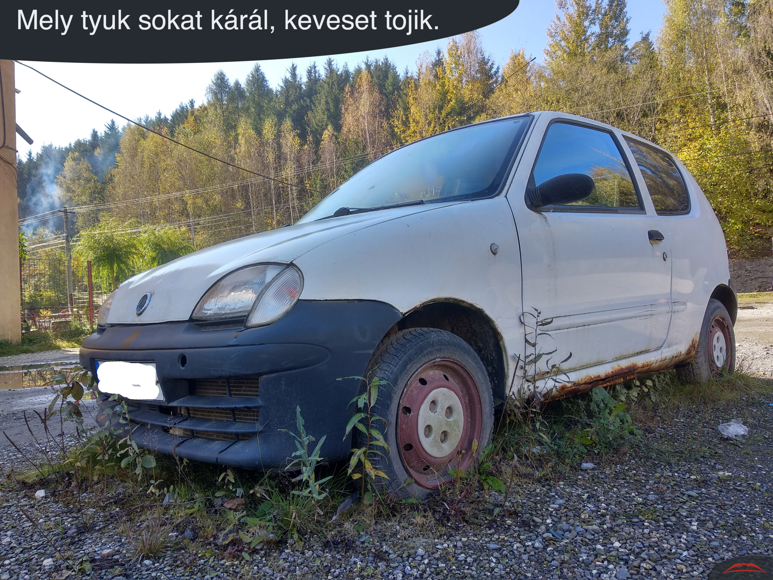 Mely tyuk sokat kárál, keveset tojik.