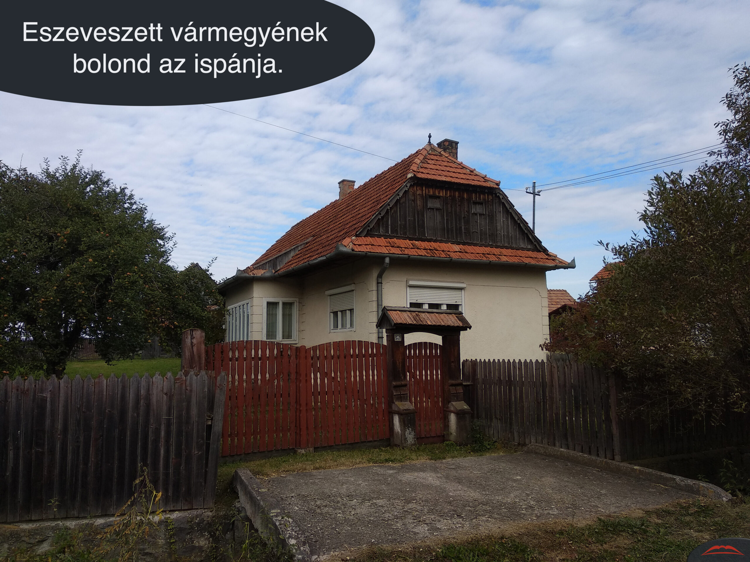 Eszeveszett vármegyének bolond az ispánja.