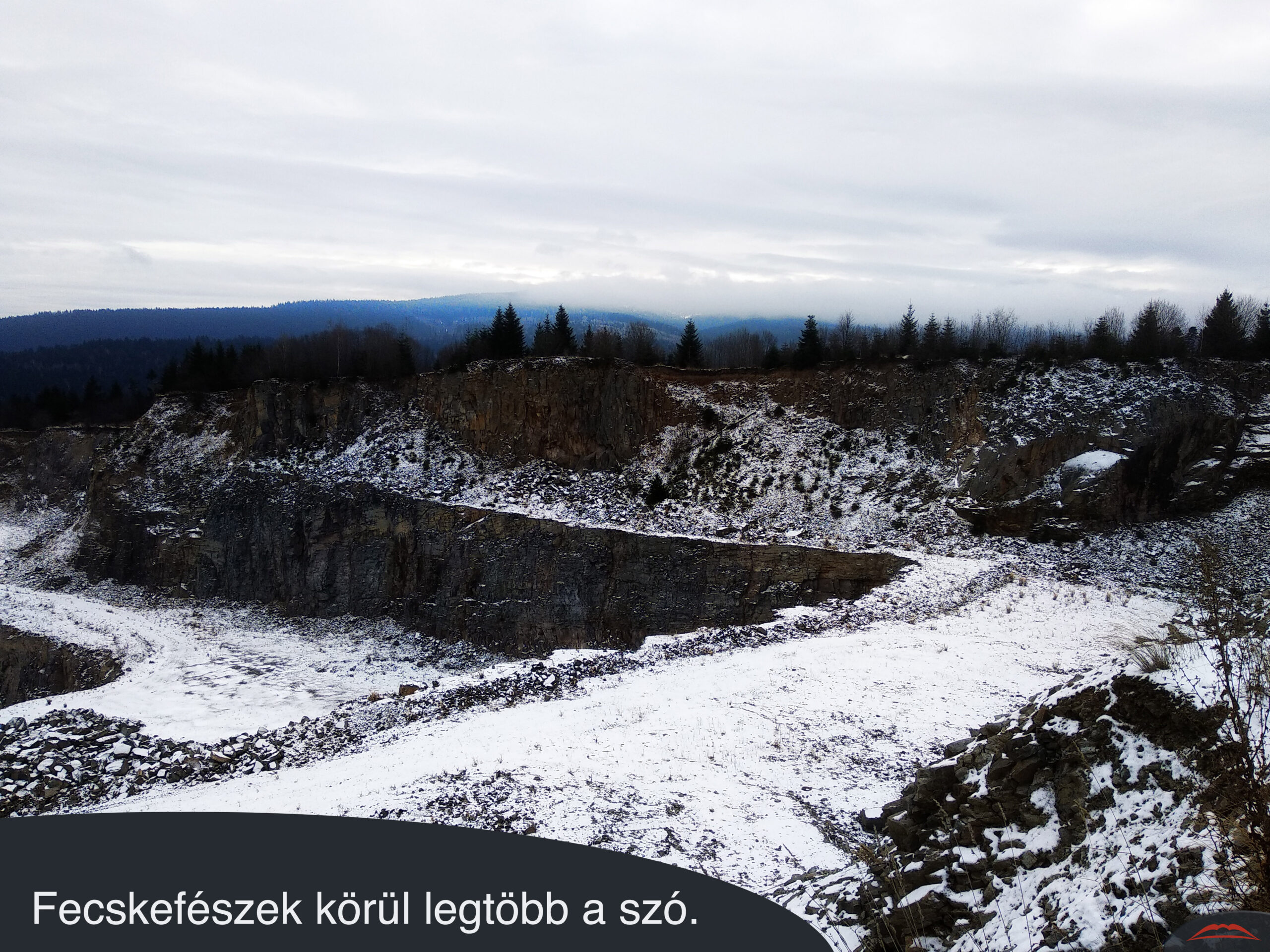 Fecskefészek körül legtöbb a szó.