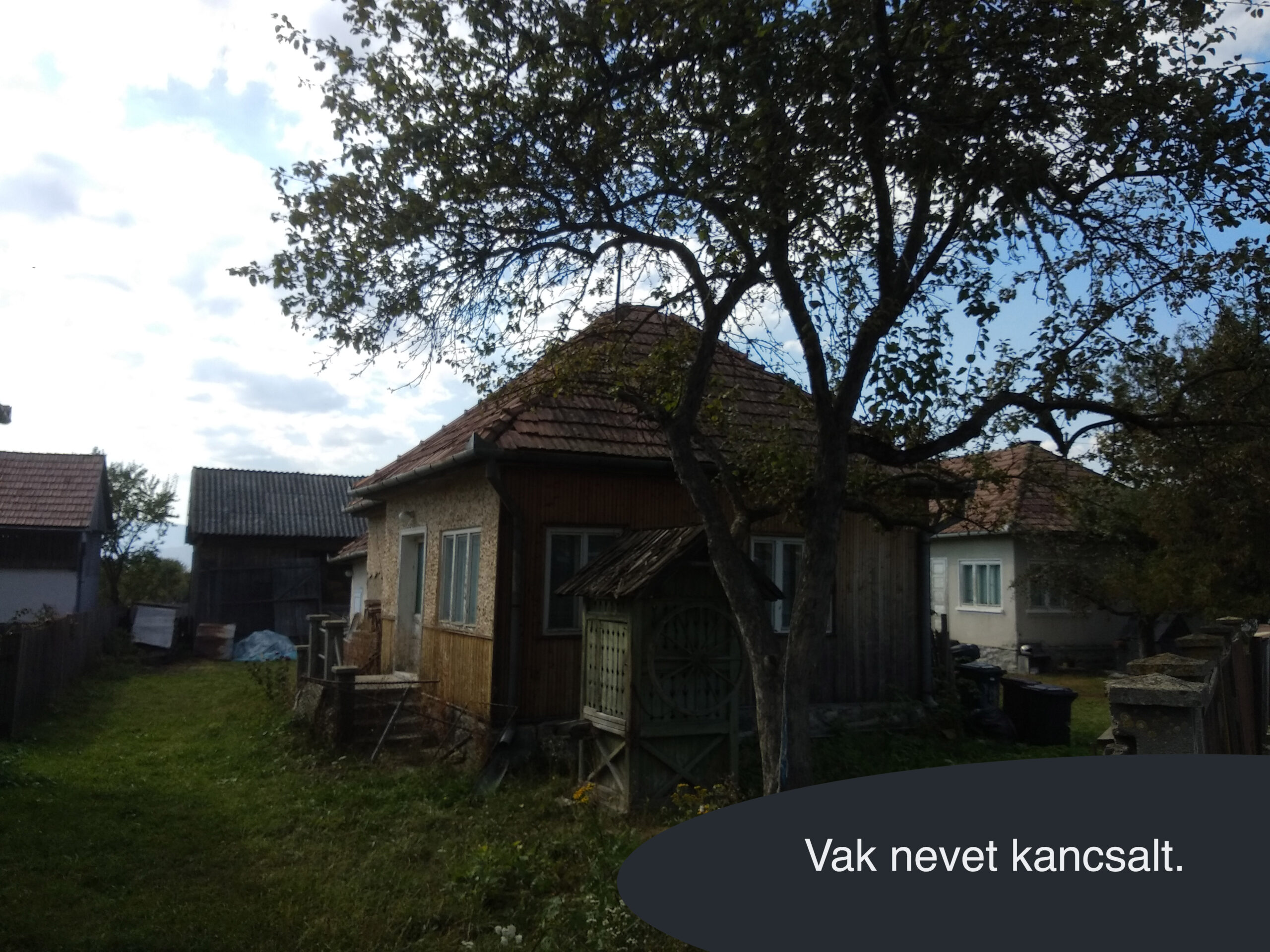 Vak nevet kancsalt.