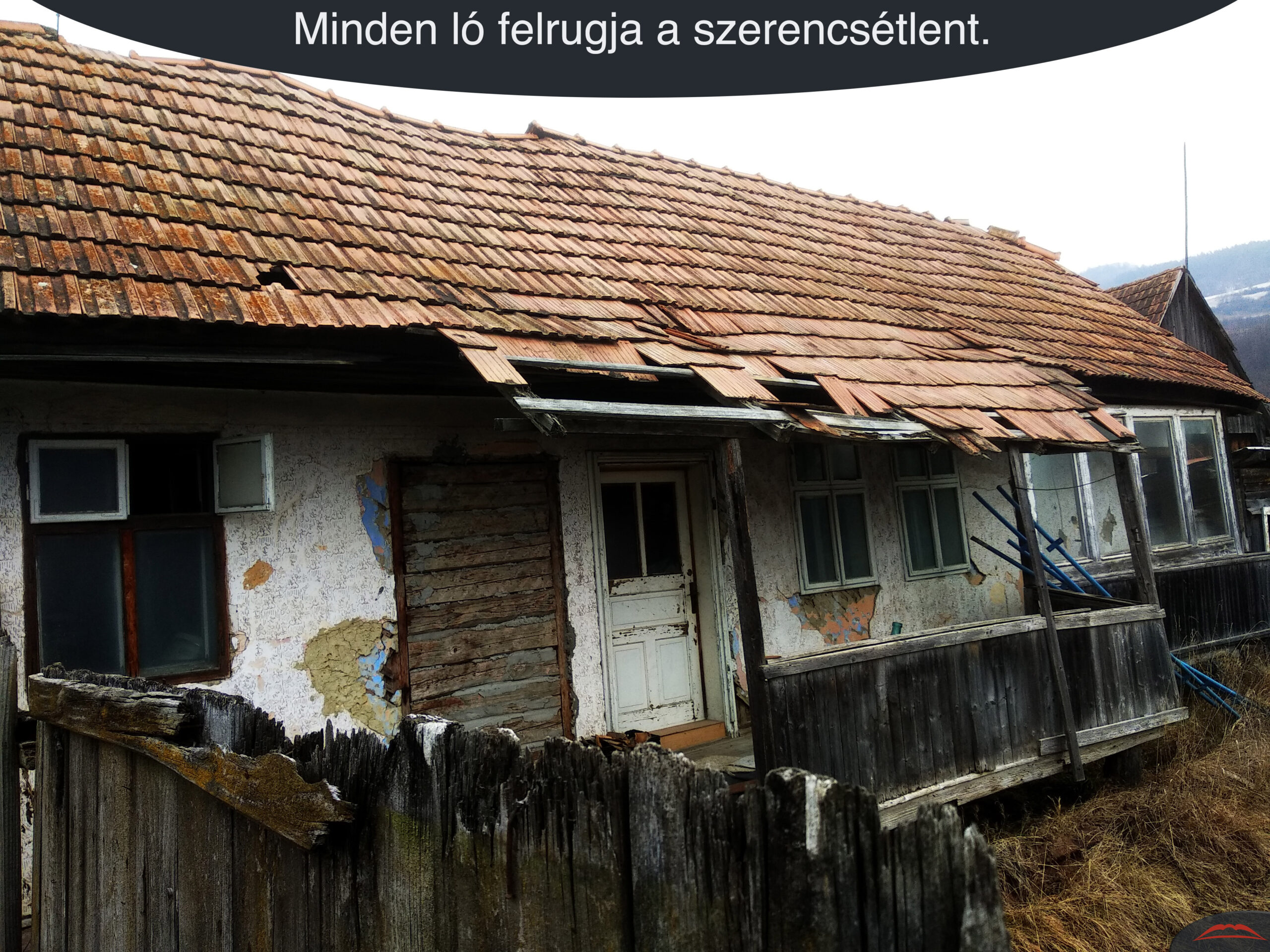 Minden ló felrugja a szerencsétlent.