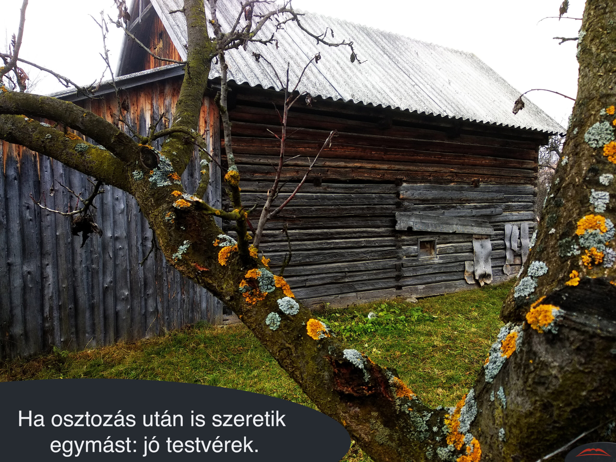 Ha osztozás után is szeretik egymást jó testvérek.