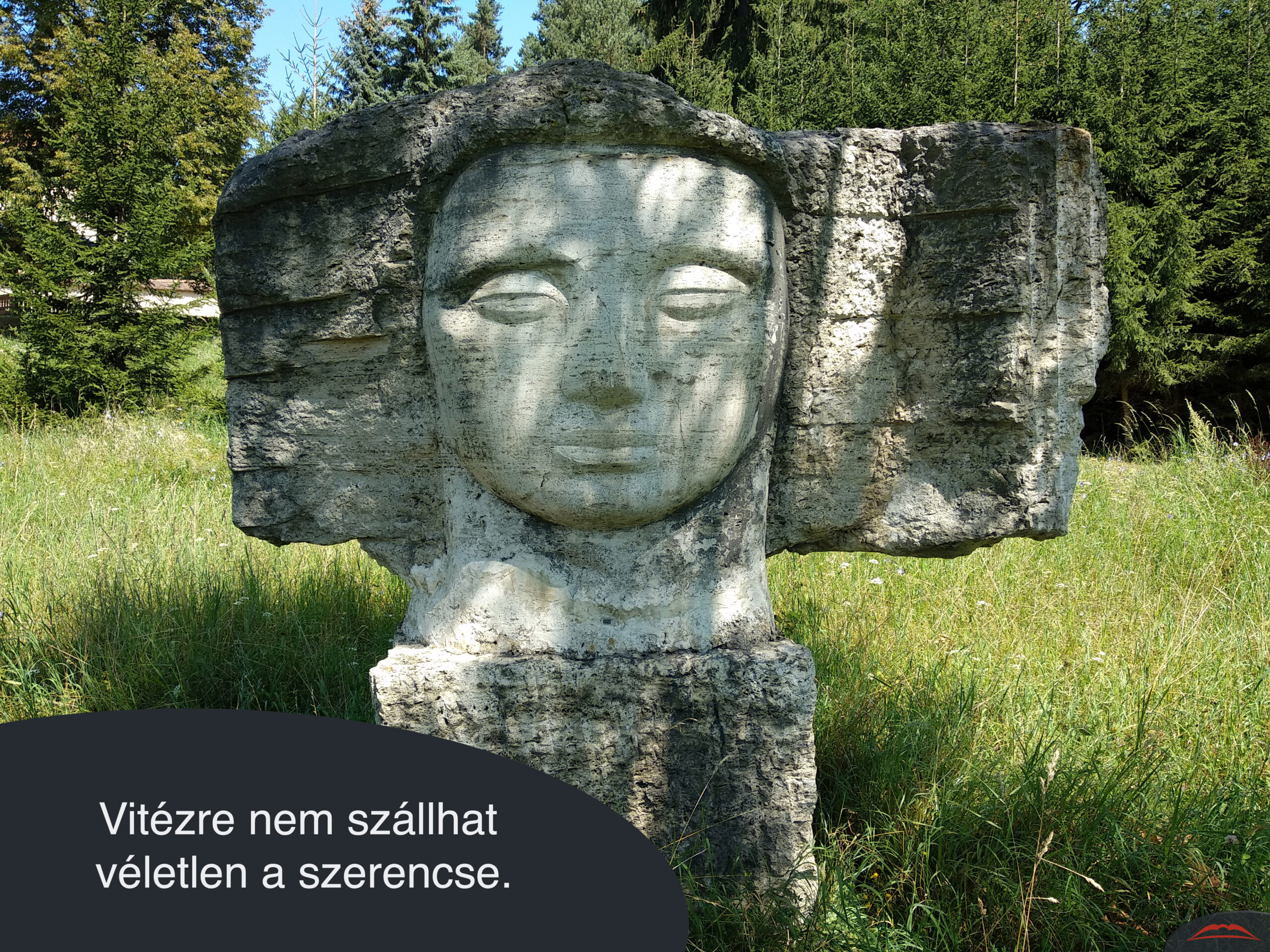 Vitézre nem szállhat véletlen a szerencse.