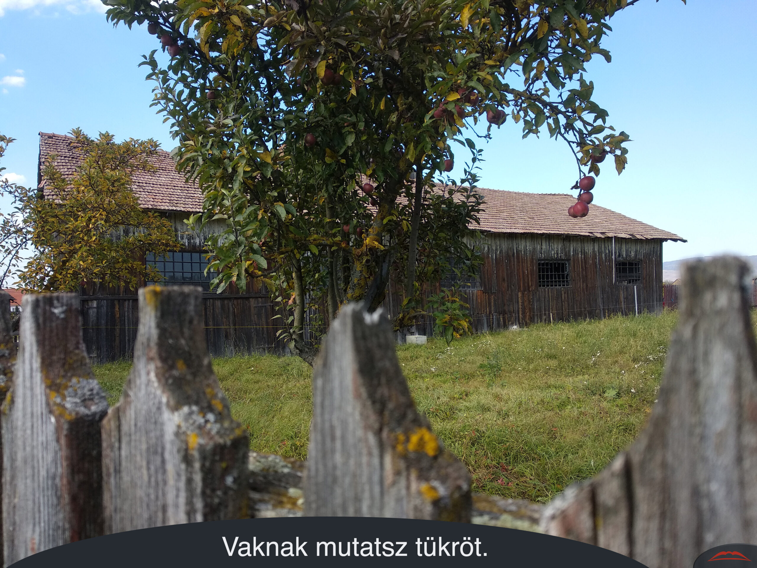 Vaknak mutatsz tükröt.