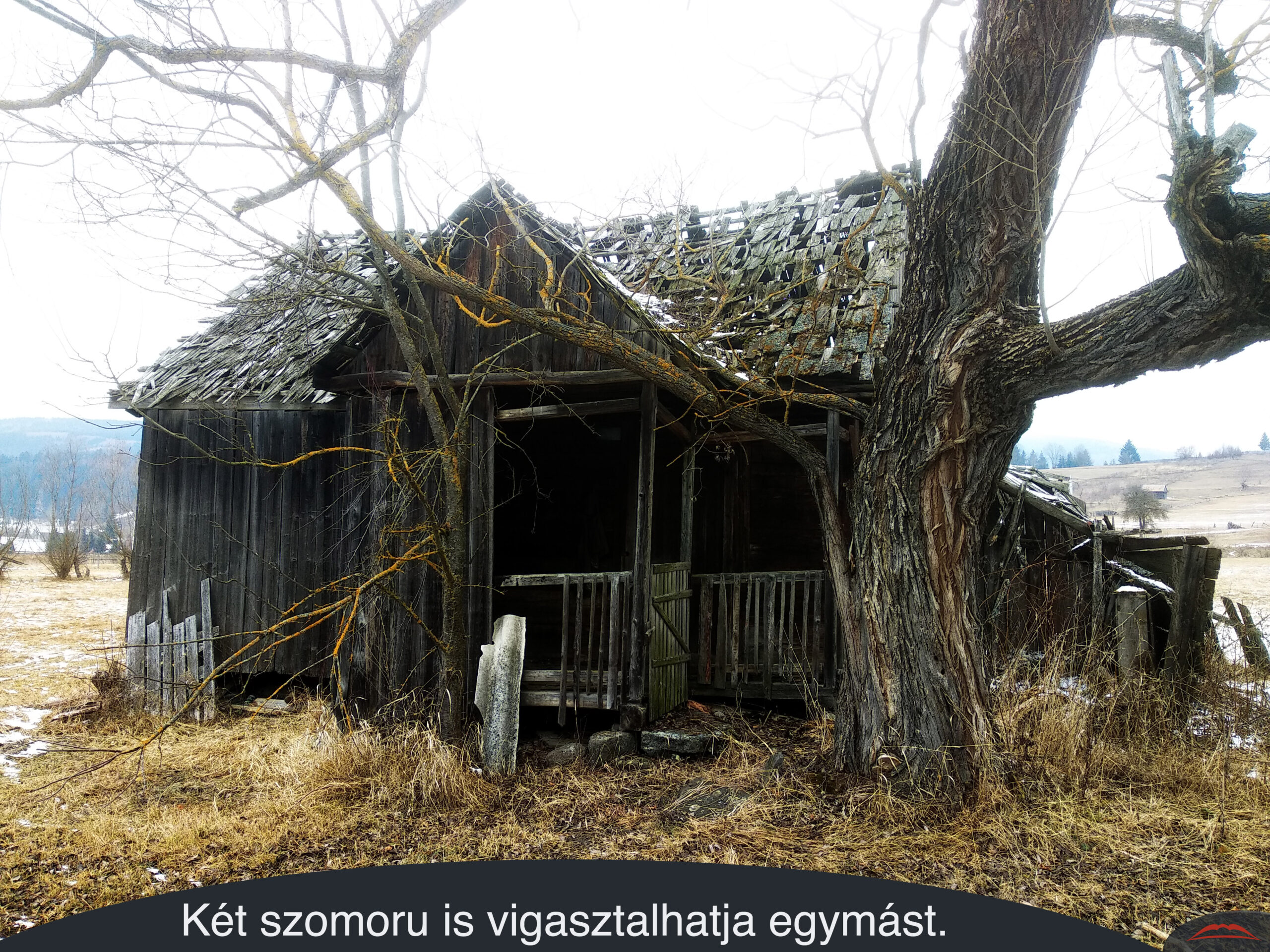 Két szomoru is vigasztalhatja egymást.