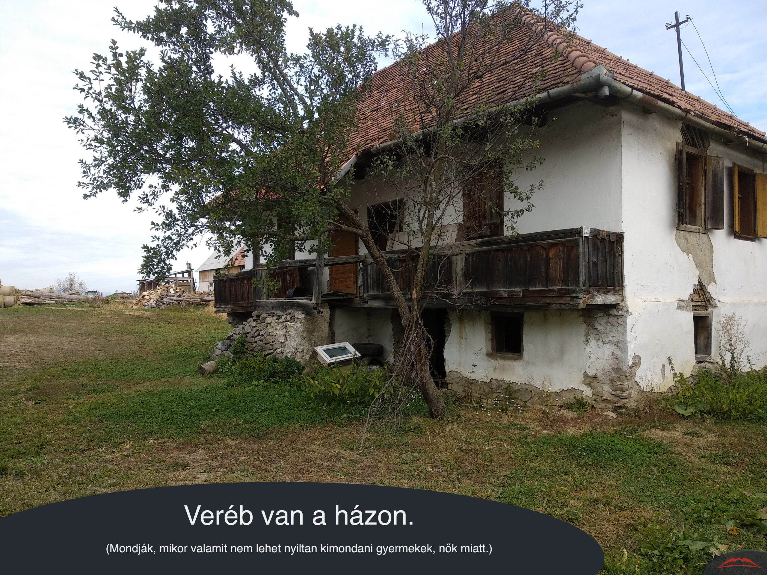 Veréb van a házon.