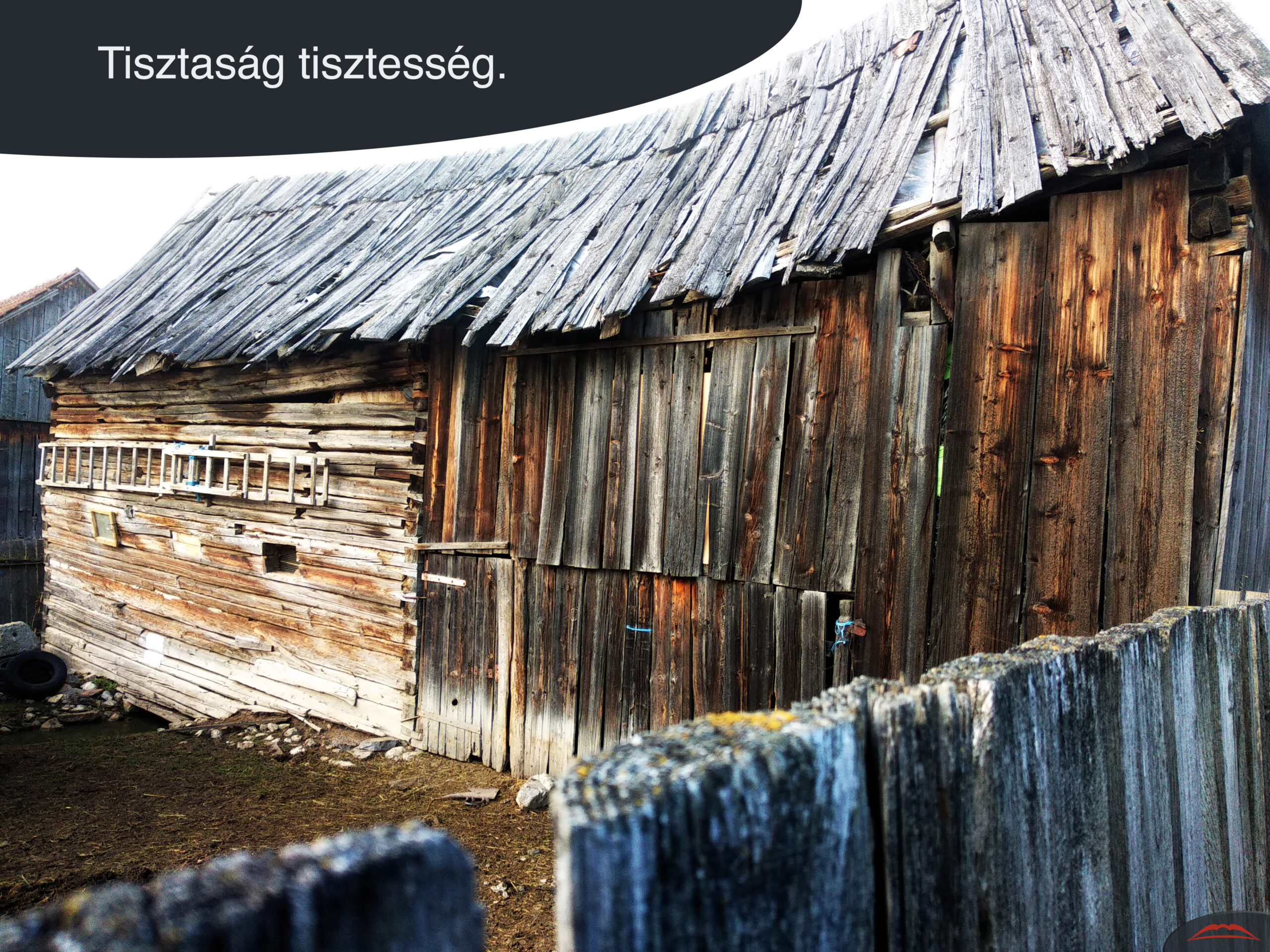 Tisztaság tisztesség.