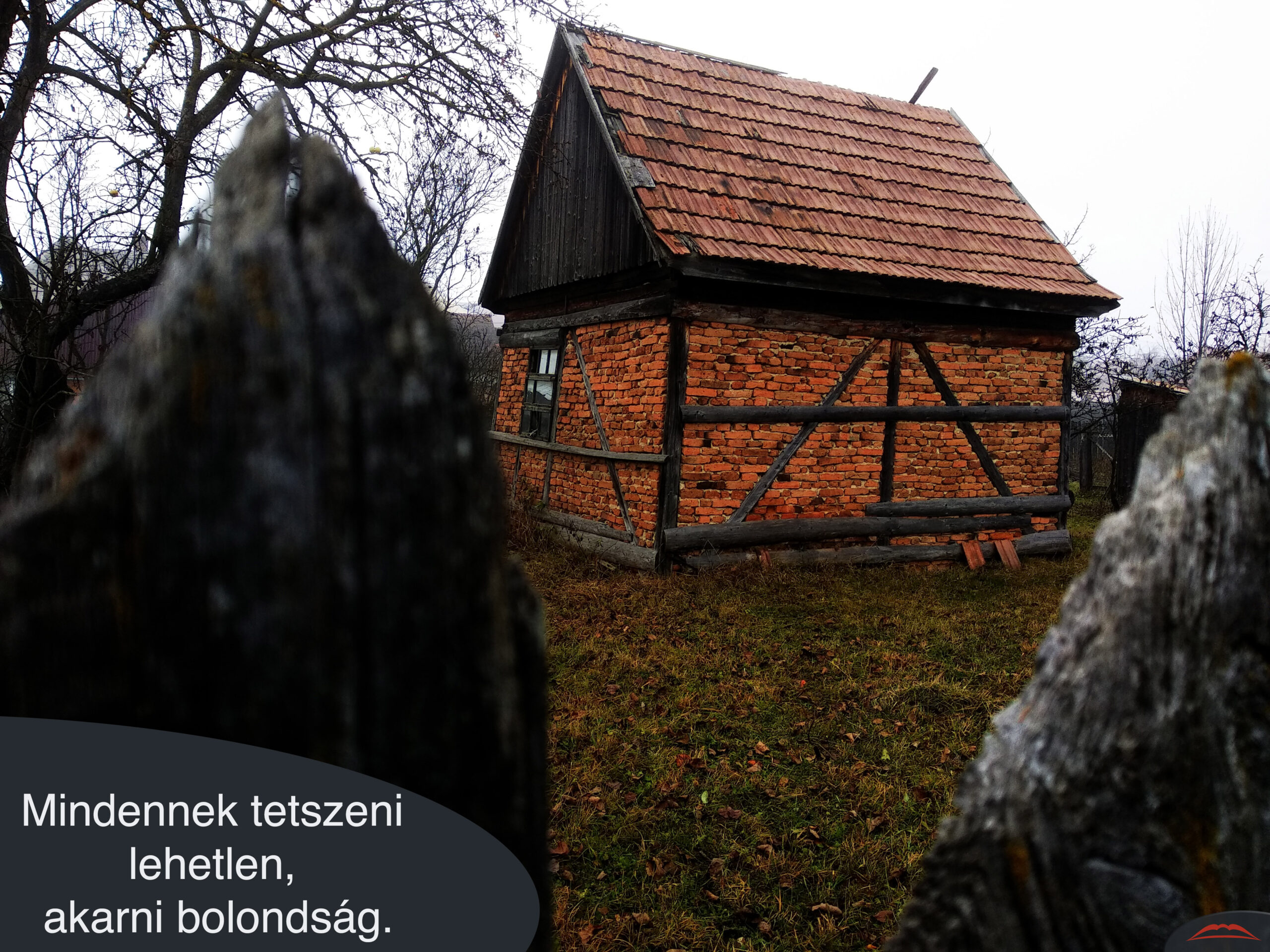 Mindennek tetszeni lehetlen, akarni bolondság.