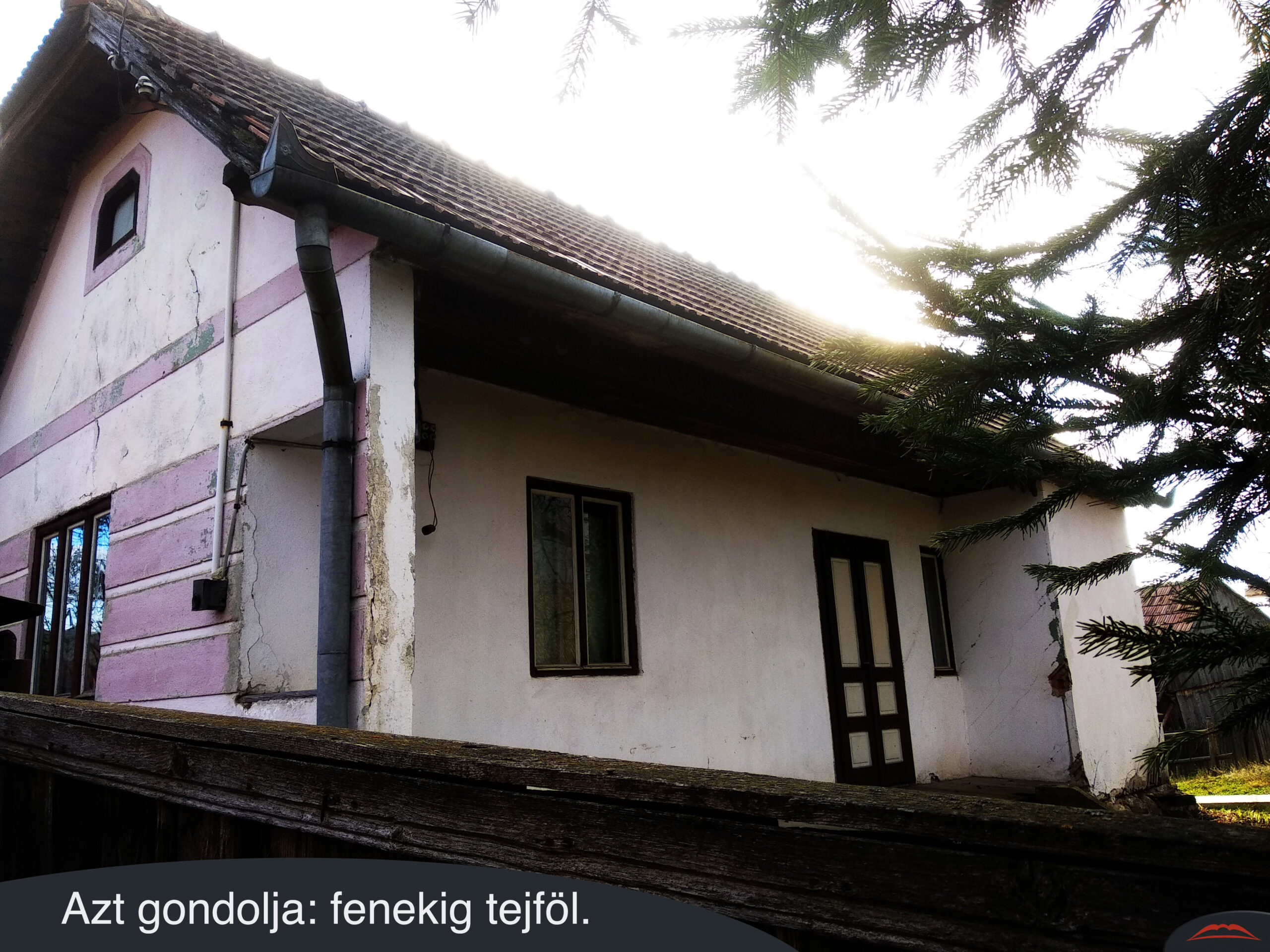 Azt gondolja fenekig tejföl.