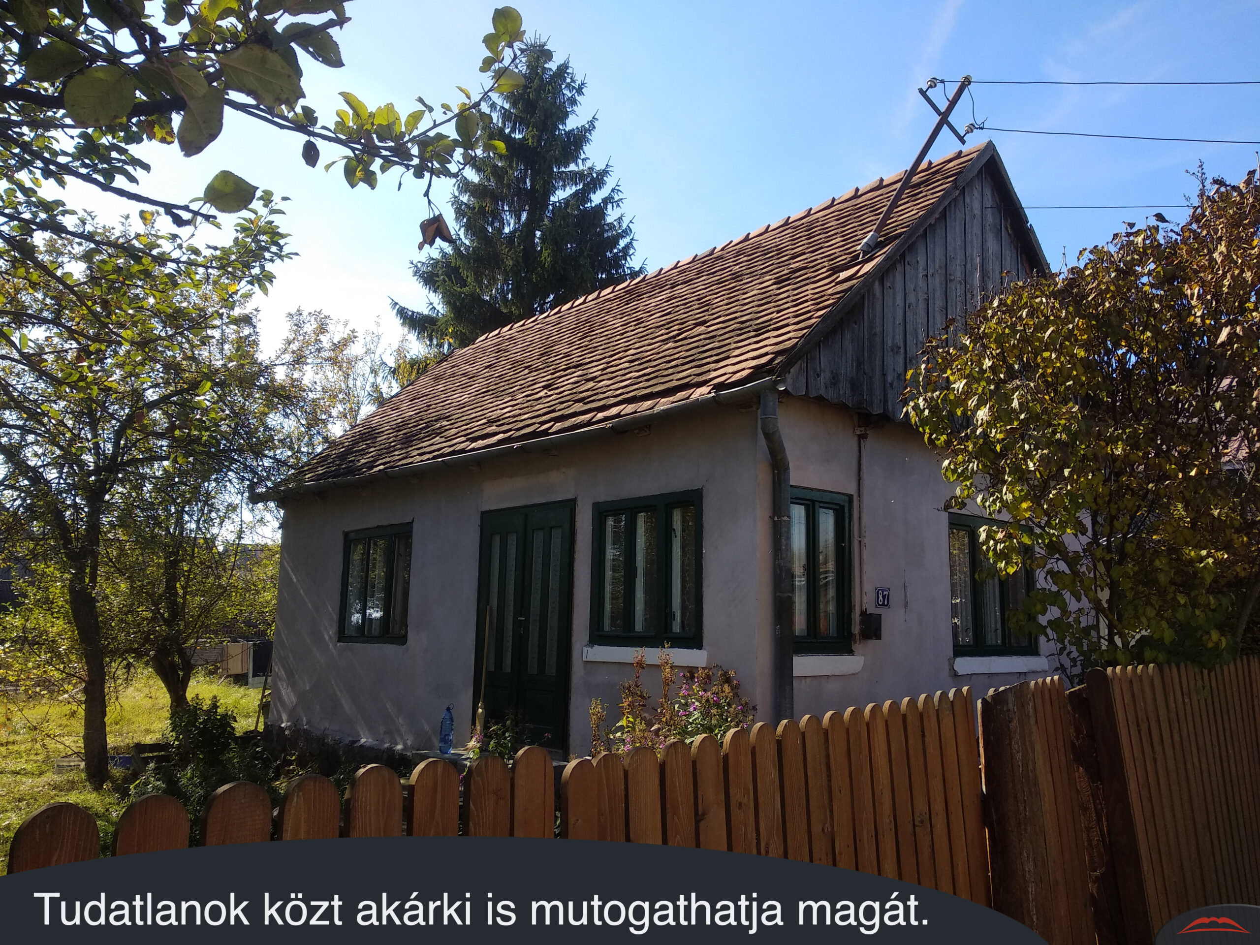 Tudatlanok közt akárki is mutogathatja magát.