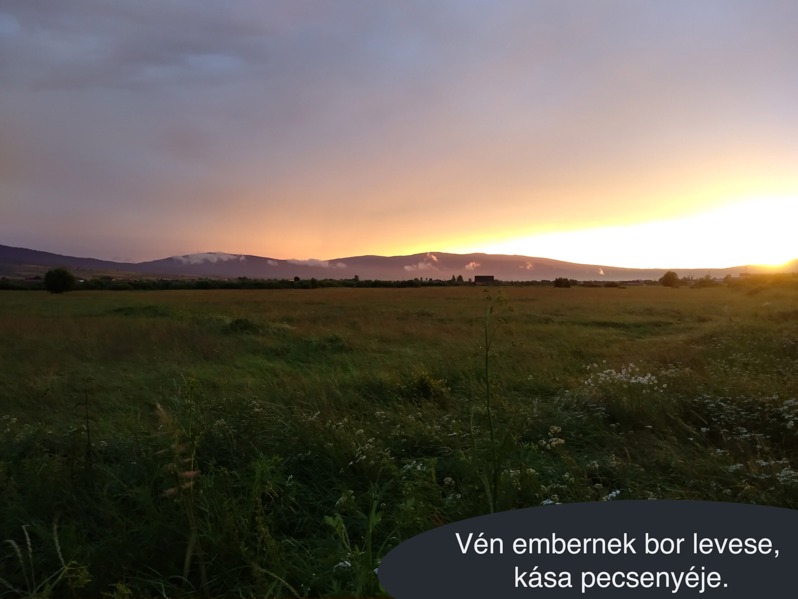 Vén embernek bor levese, kása pecsenyéje.