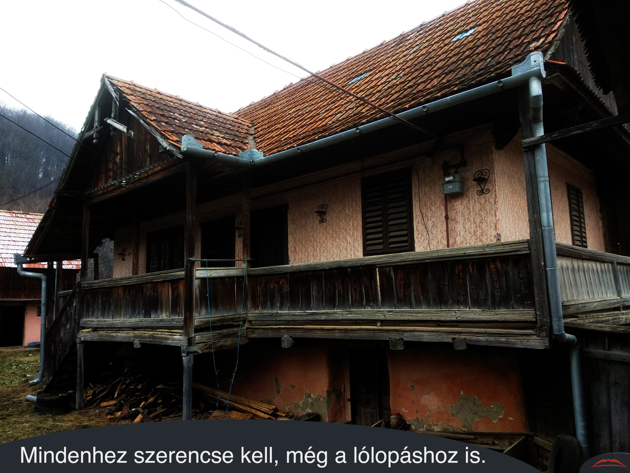 Mindenhez szerencse kell, még a lólopáshoz is.