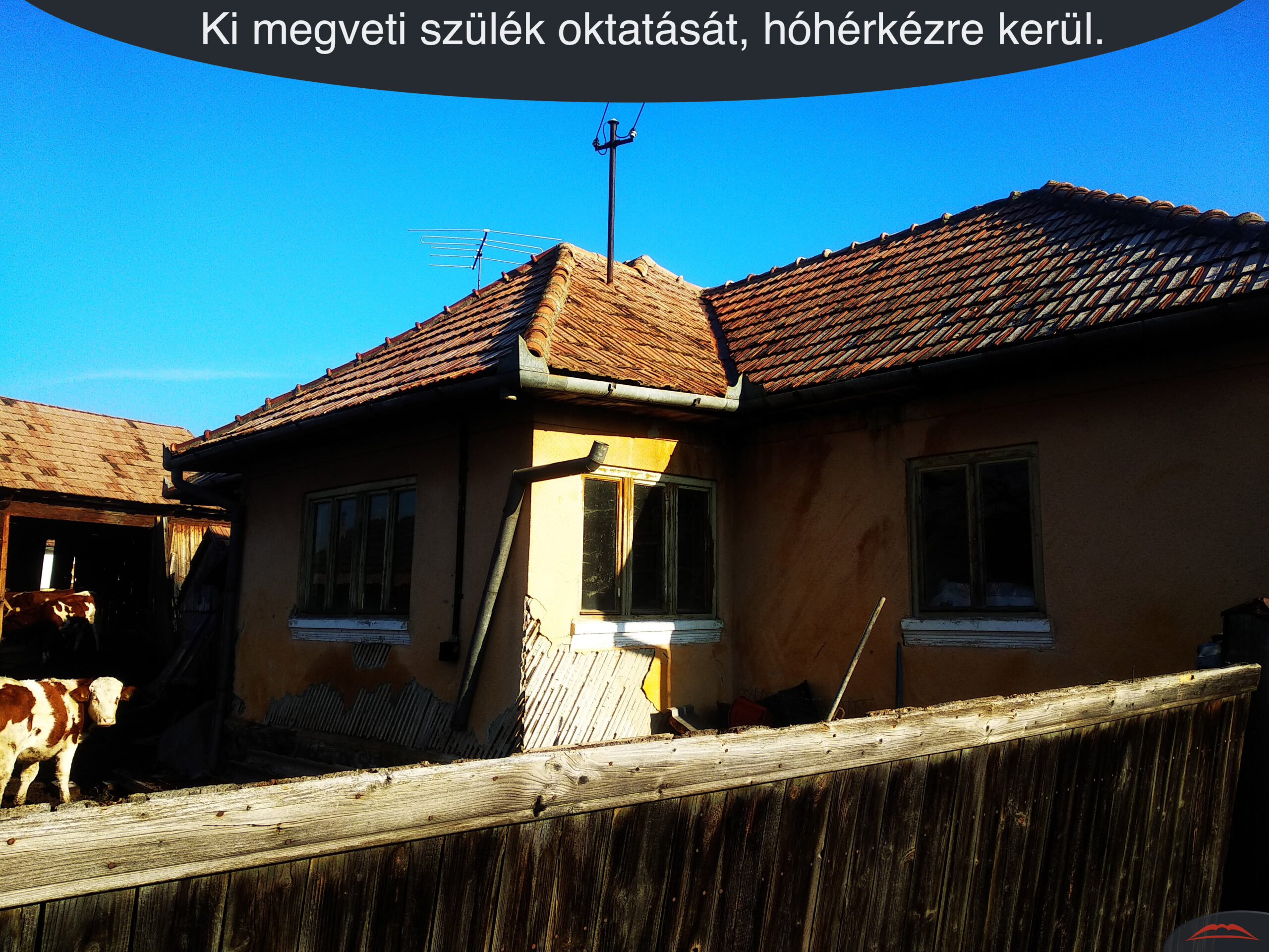 Ki megveti szülék oktatását, hóhérkézre kerül.