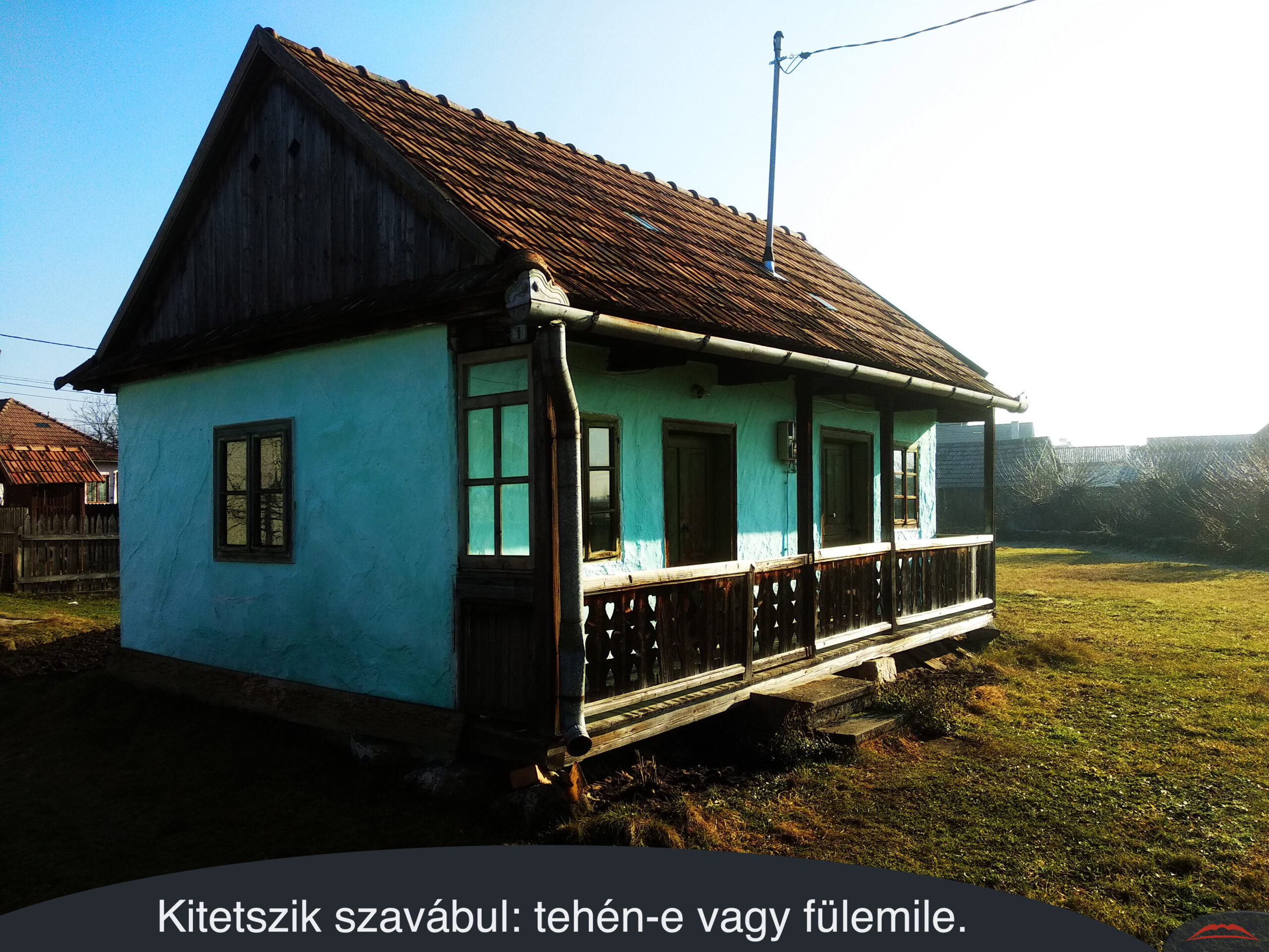 Kitetszik szavábul tehén-e vagy fülemile.