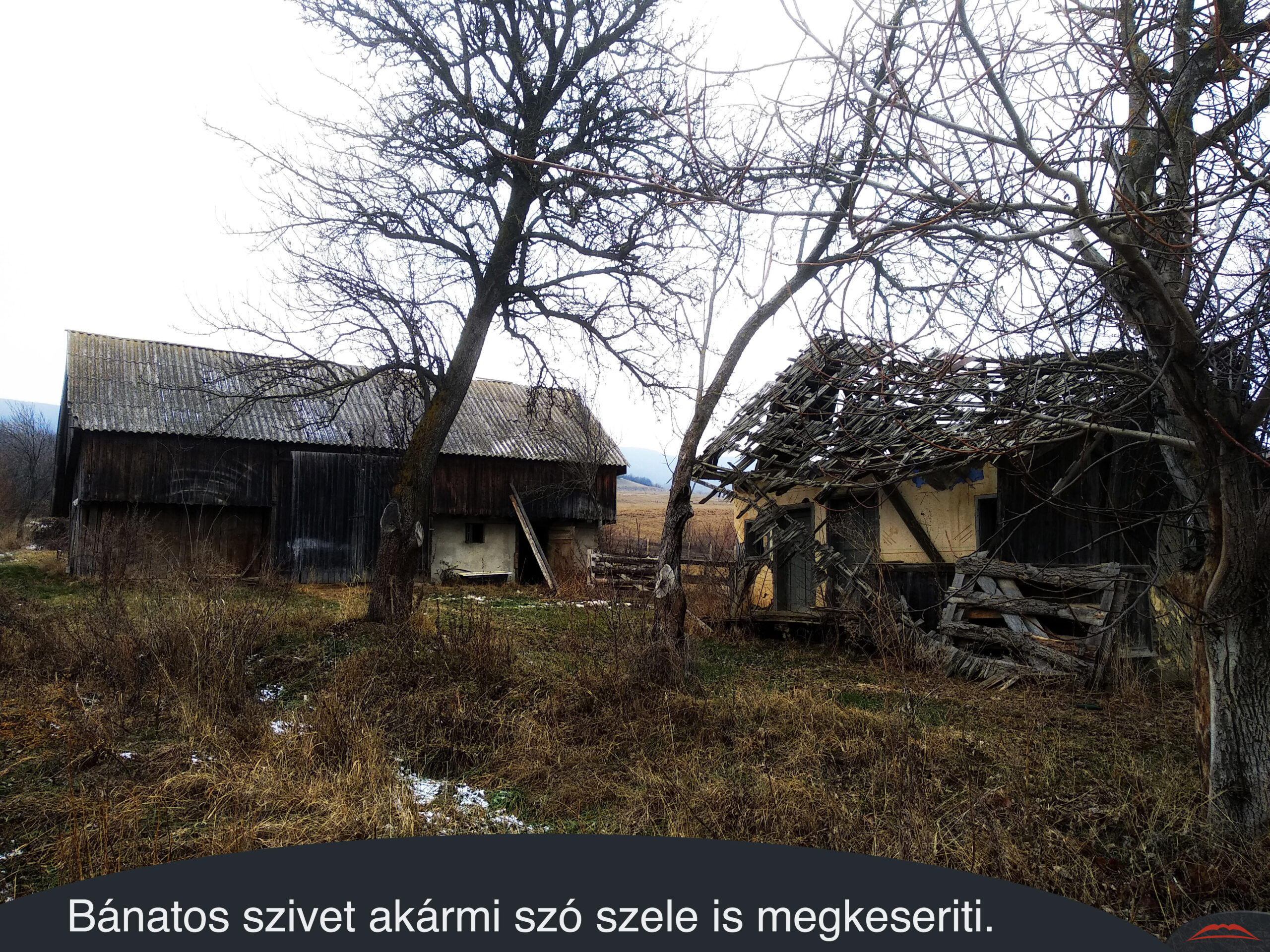 Bánatos szivet akármi szó szele is megkeseriti.