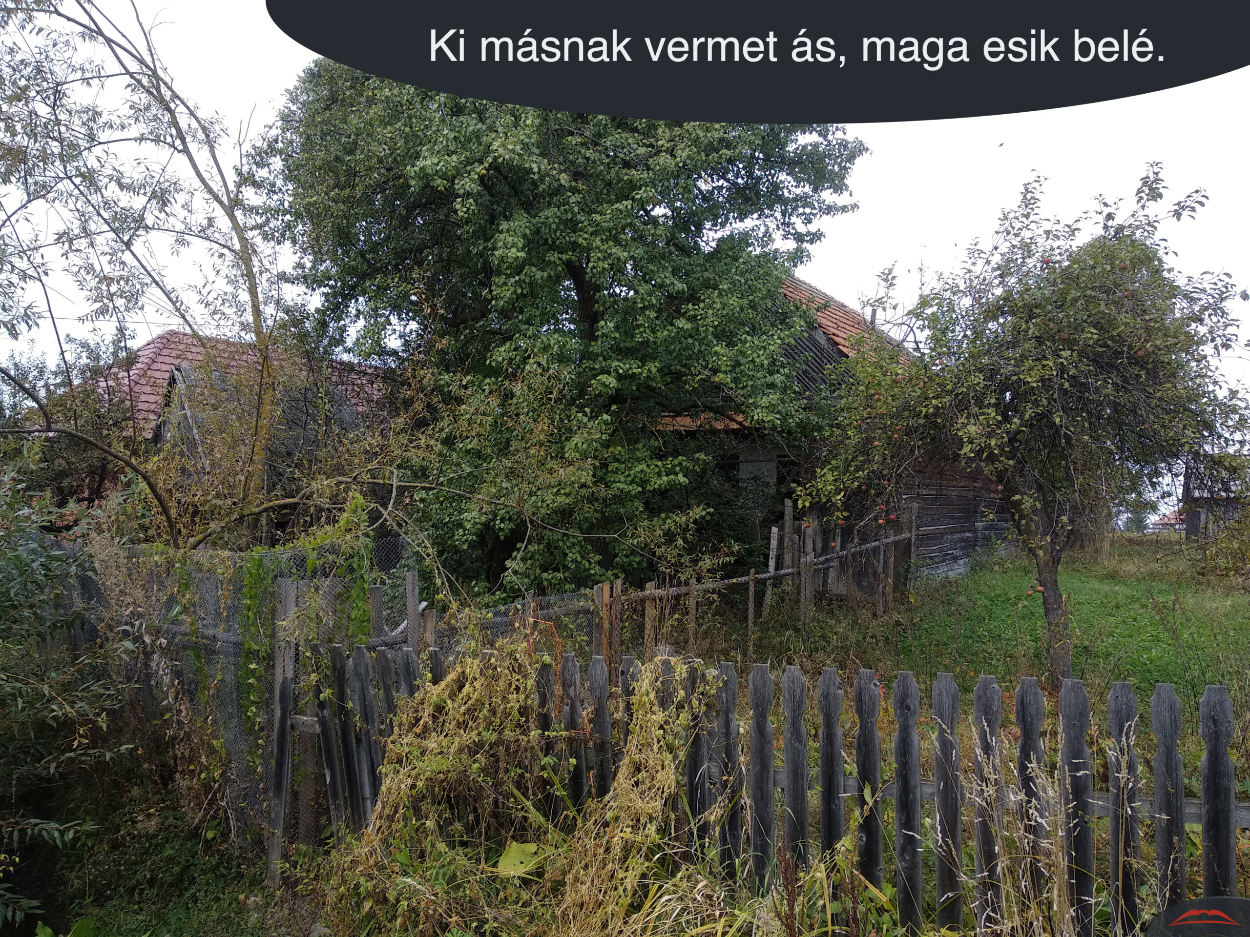 Ki másnak vermet ás, maga esik belé.