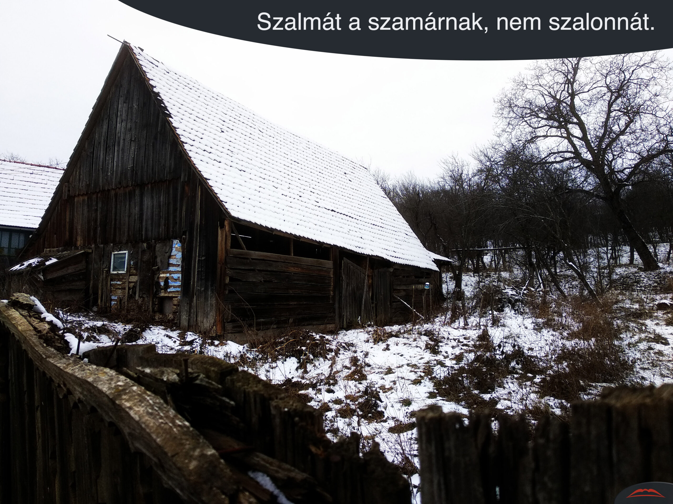 Szalmát a szamárnak, nem szalonnát.