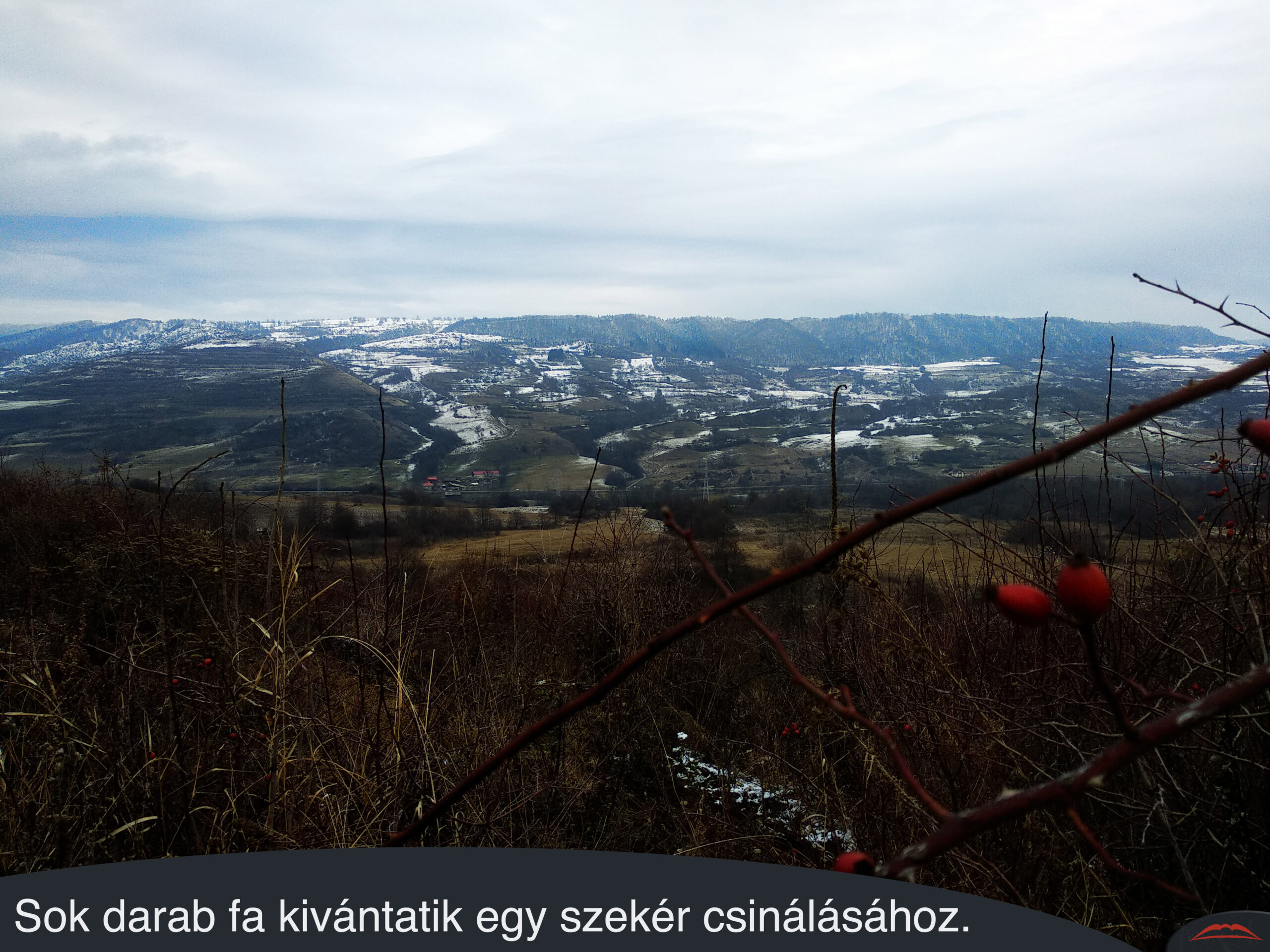 Sok darab fa kivántatik egy szekér csinálásához.