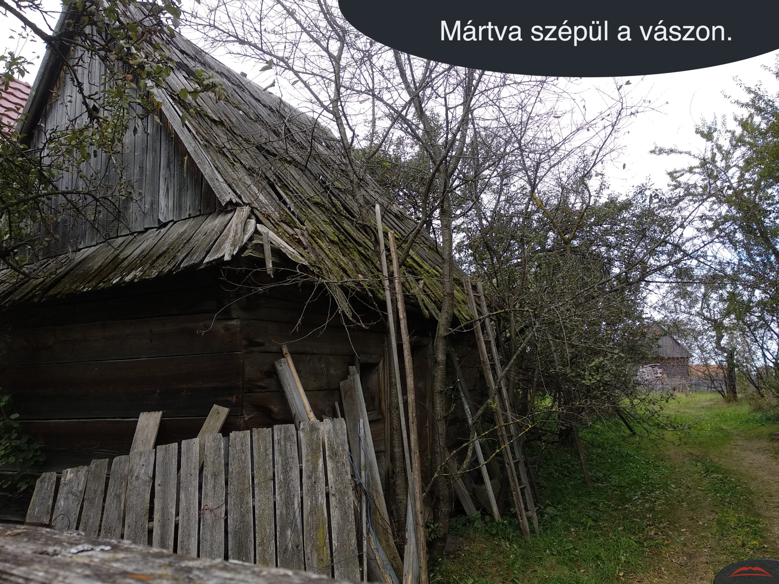 Mártva szépül a vászon.