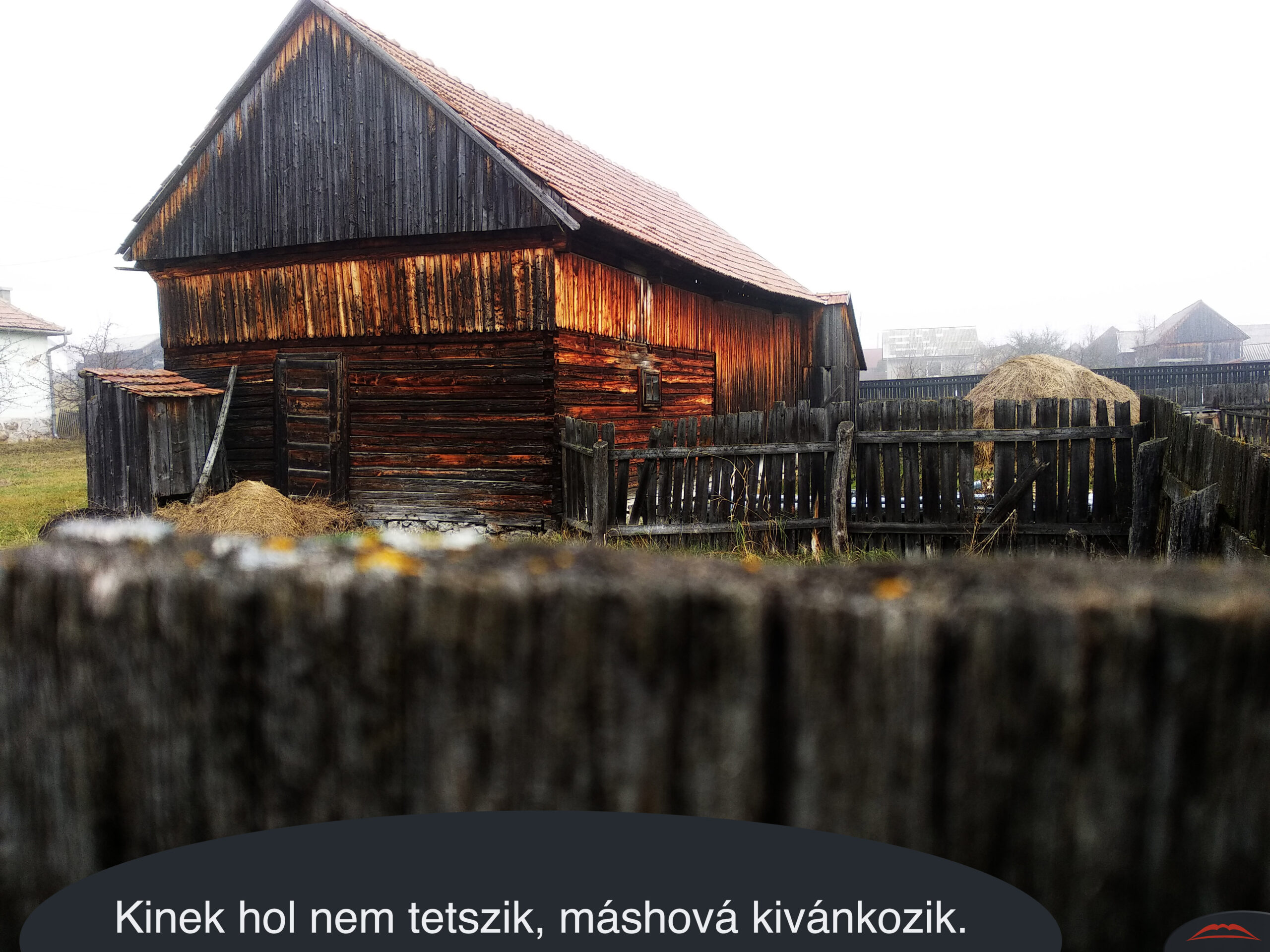 Kinek hol nem tetszik, máshová kivánkozik.