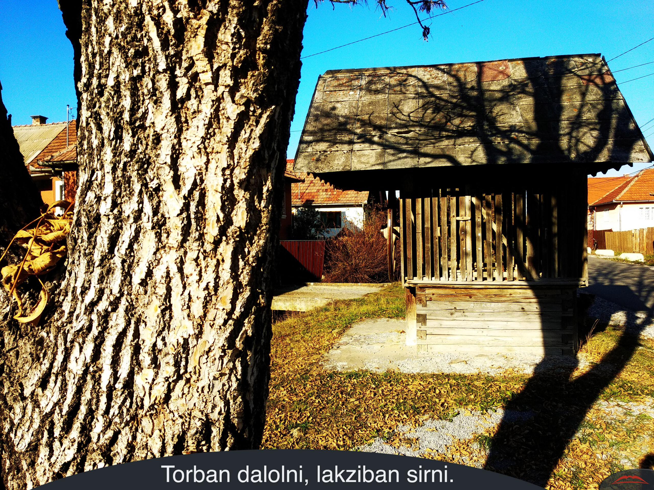 Torban dalolni, lakziban sirni.