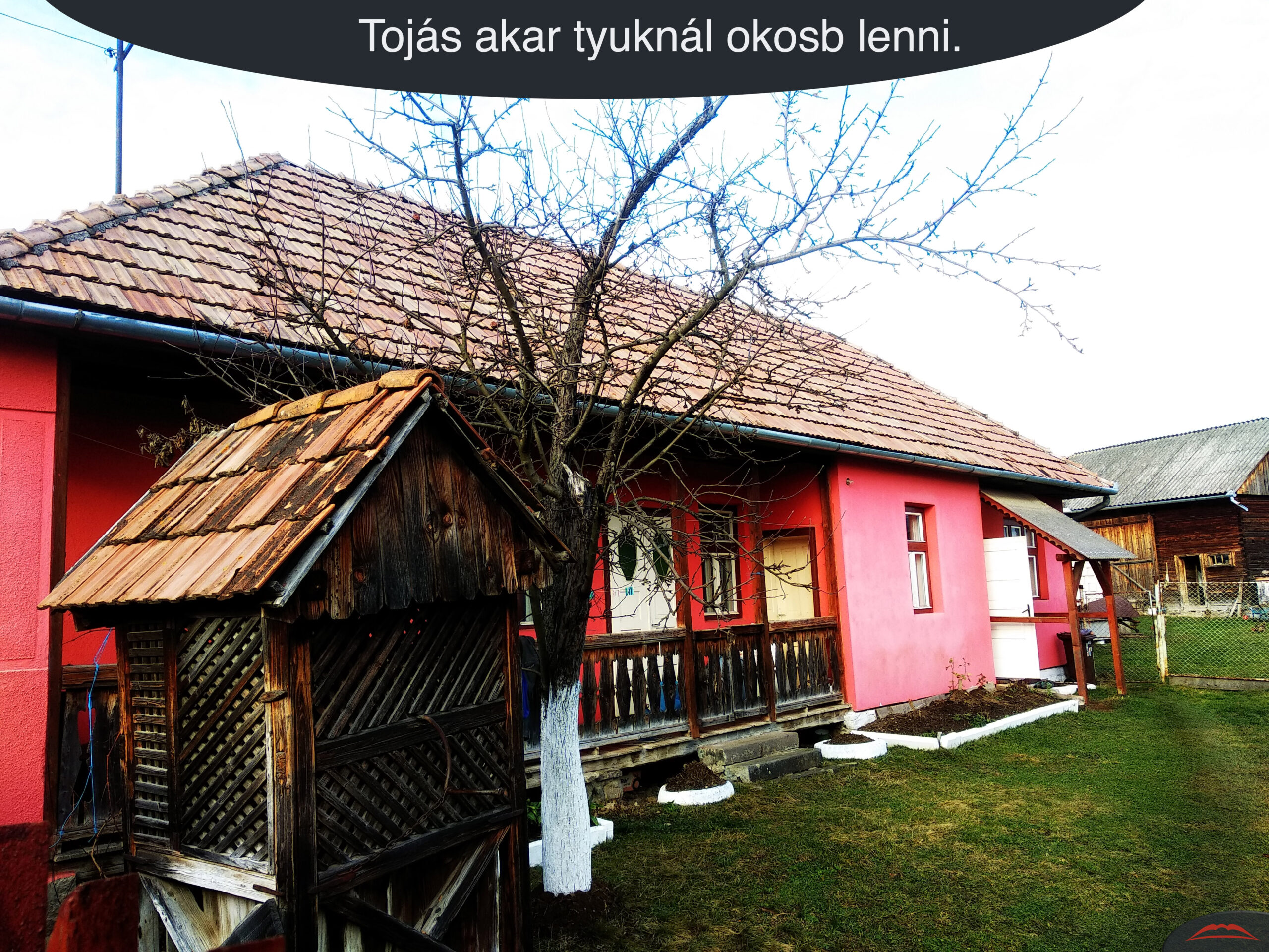 Tojás akar tyuknál okosb lenni.