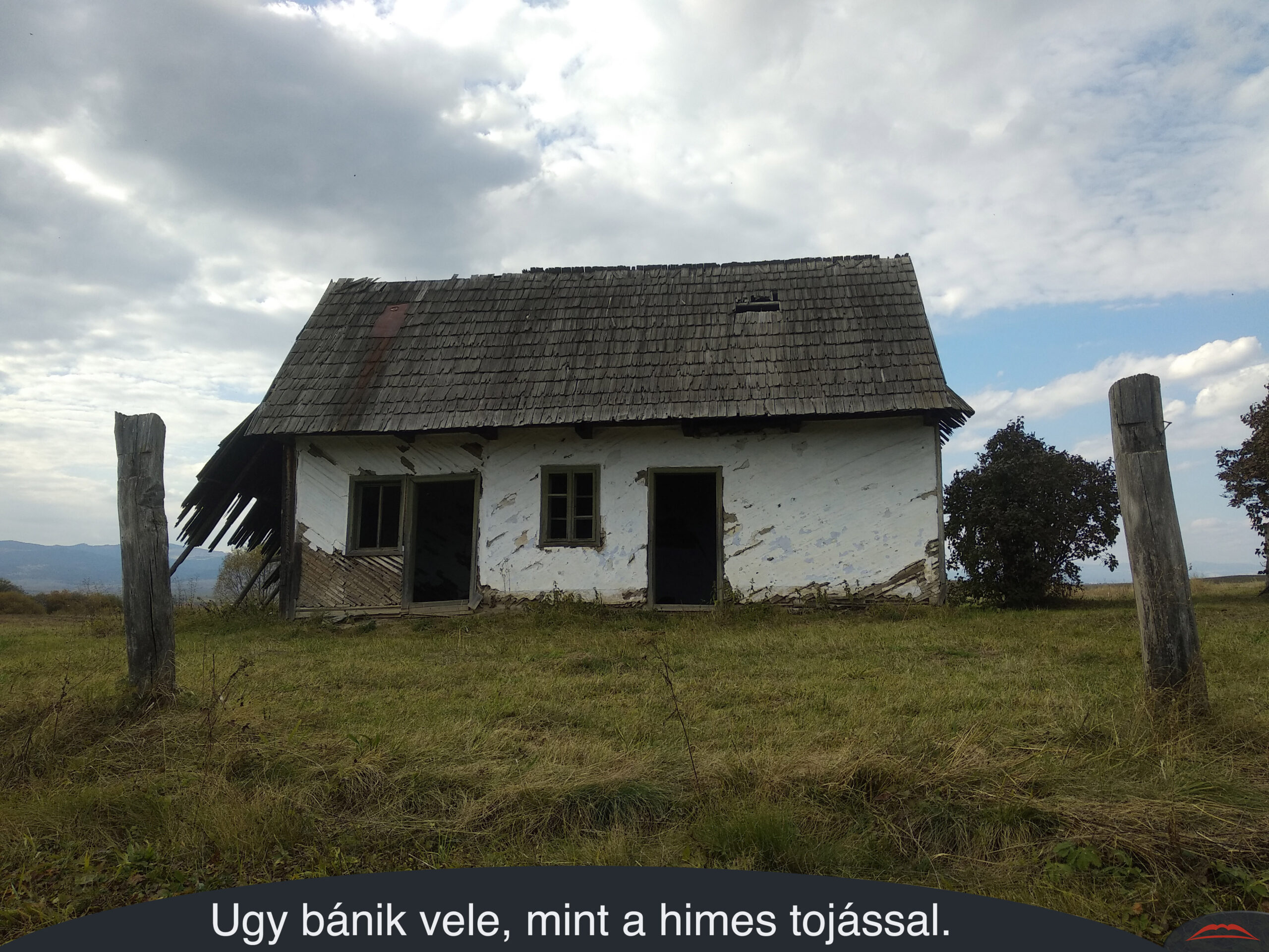 Ugy bánik vele, mint a himes tojással.