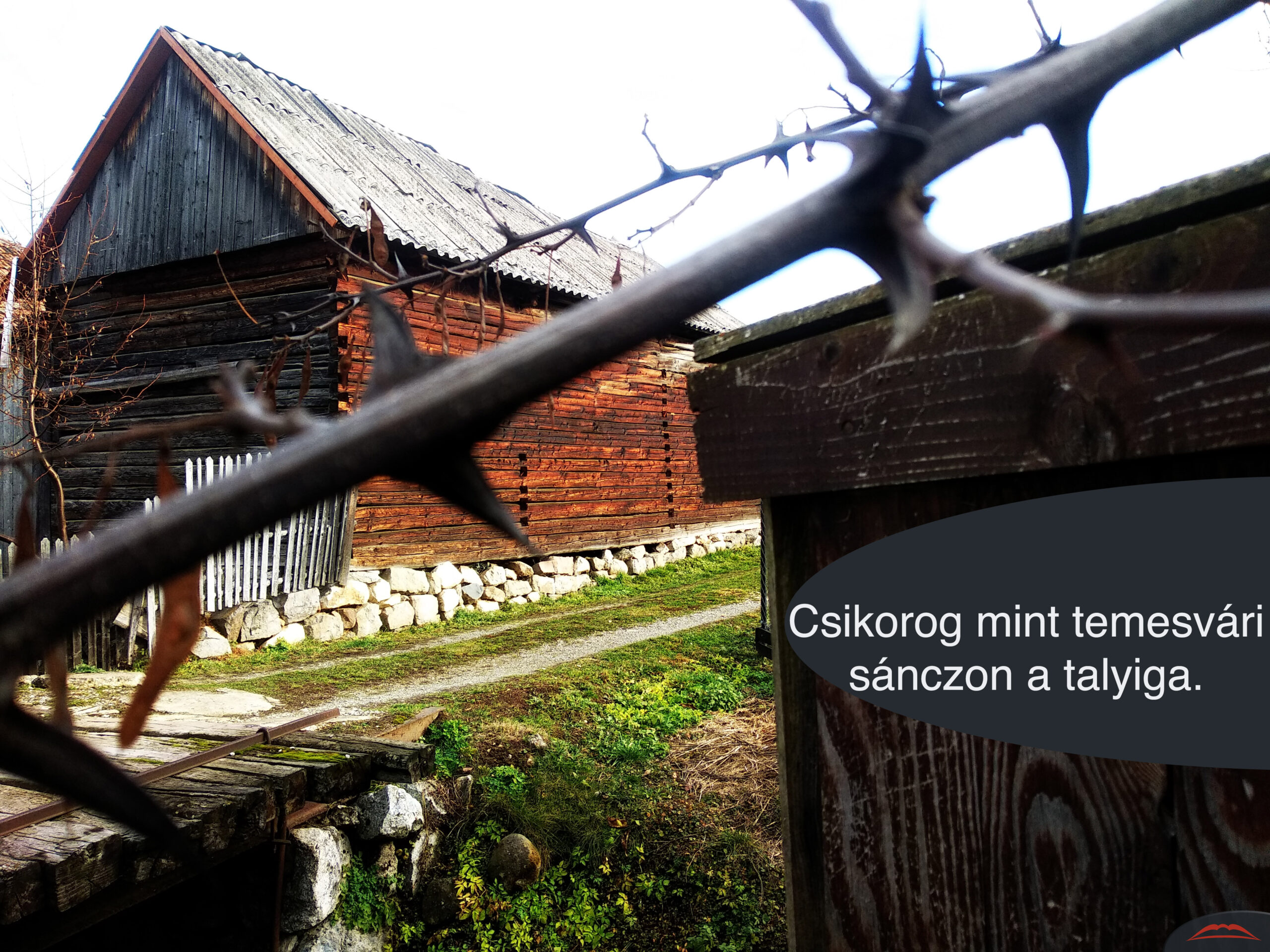 Csikorog mint temesvári sánczon a talyiga. 