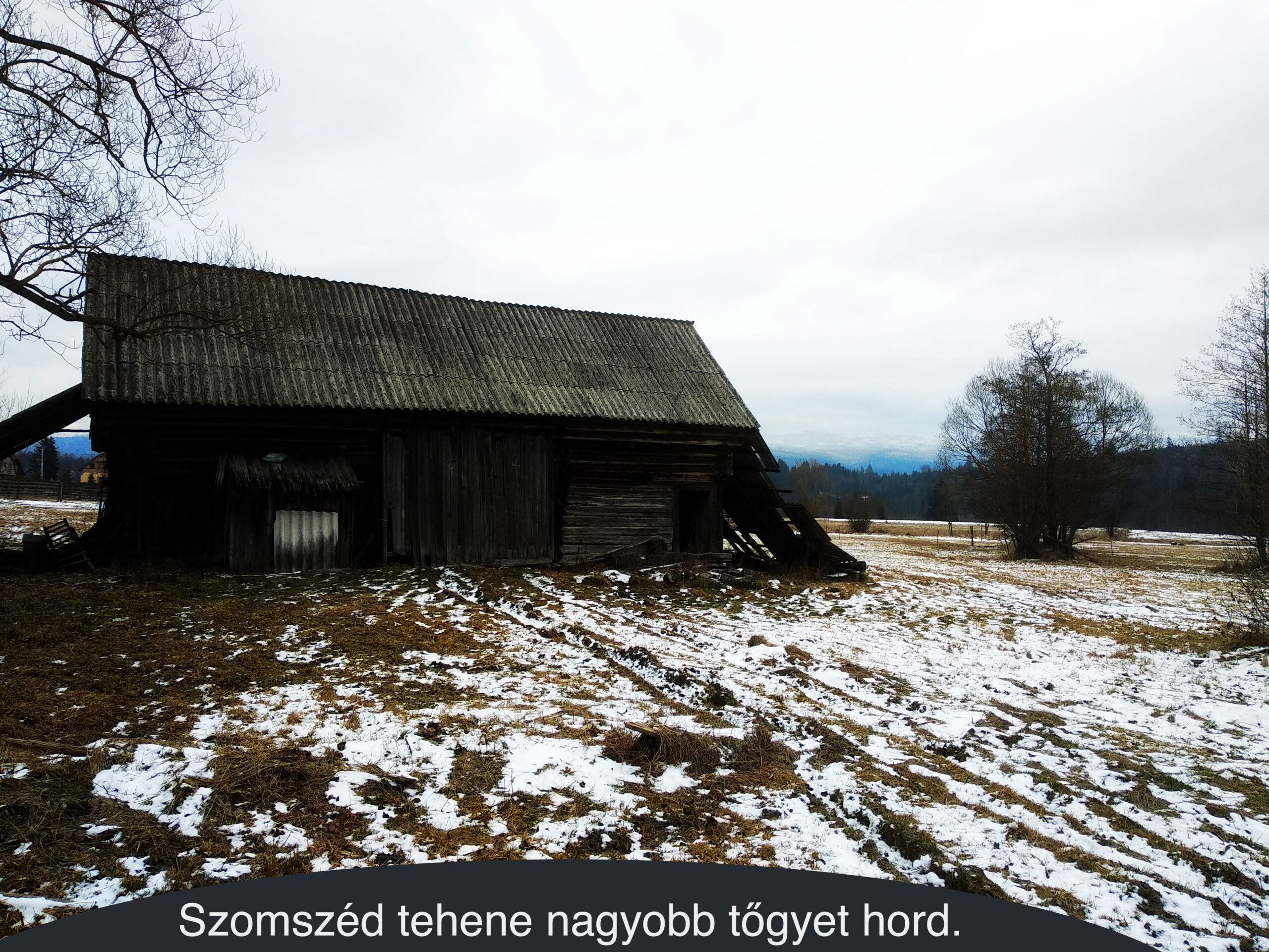 Rosz dolog a rosz szomszéd.