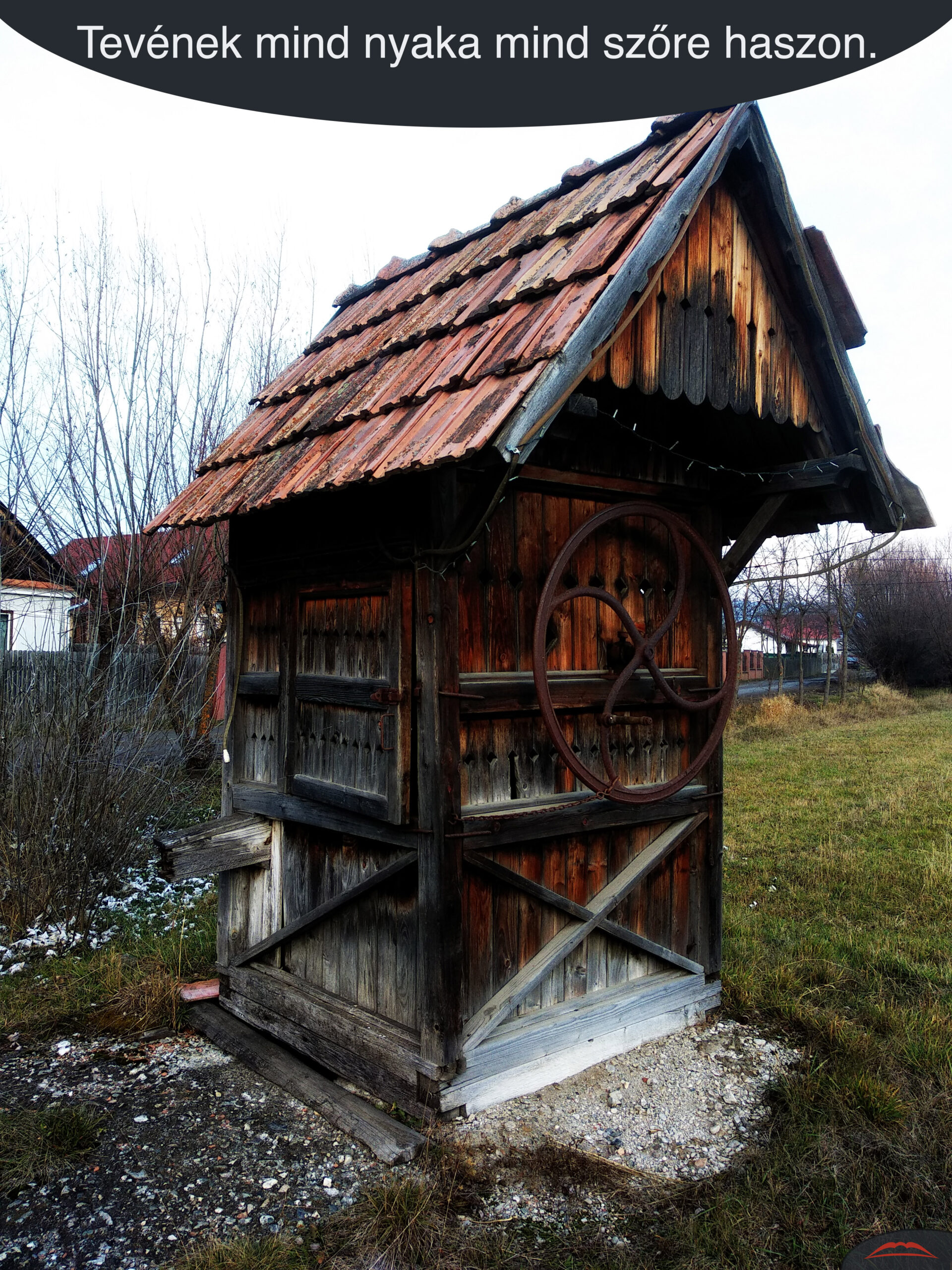 Tevének mind nyaka mind szőre haszon.