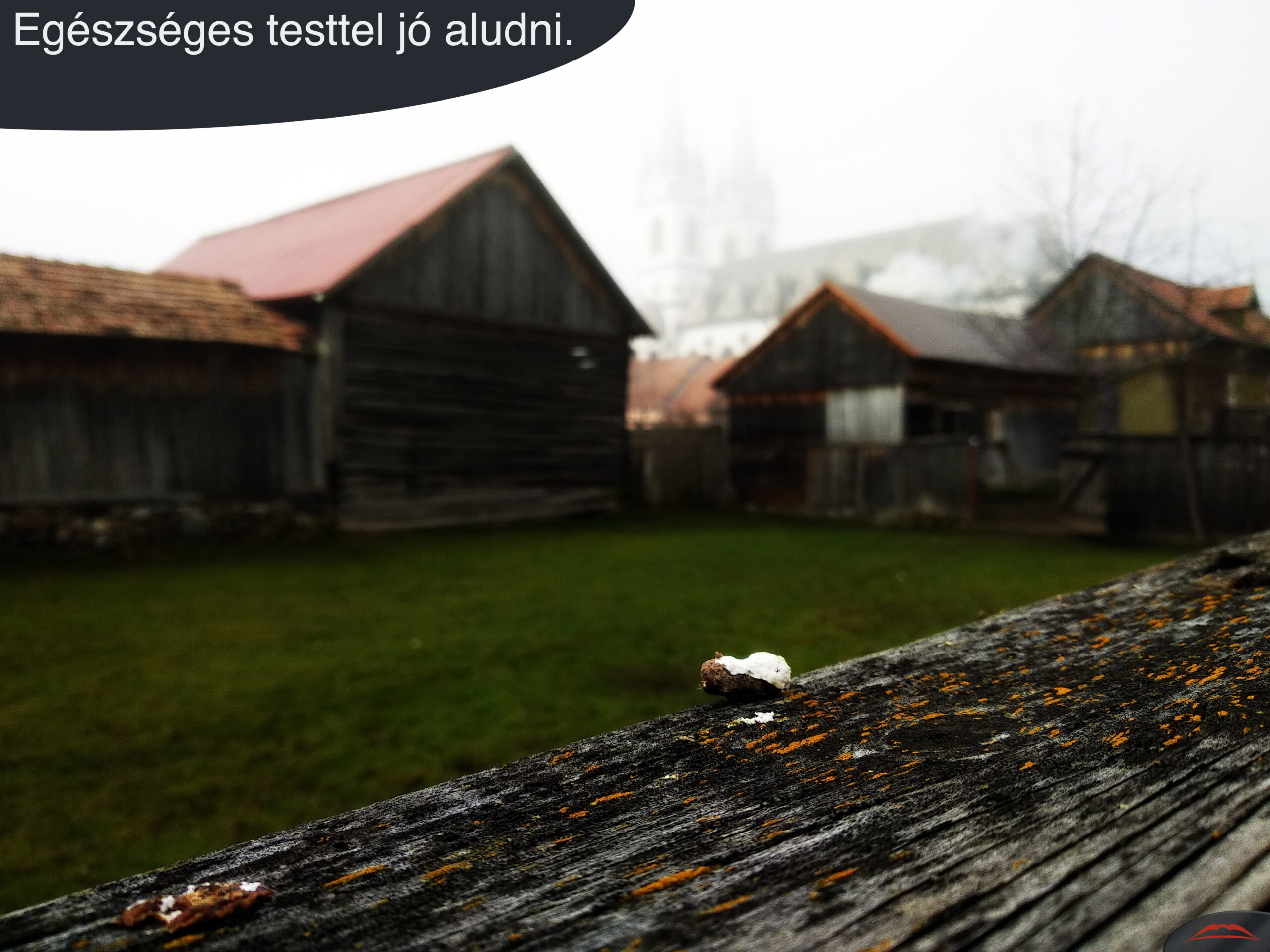 Egészséges testtel jó aludni.