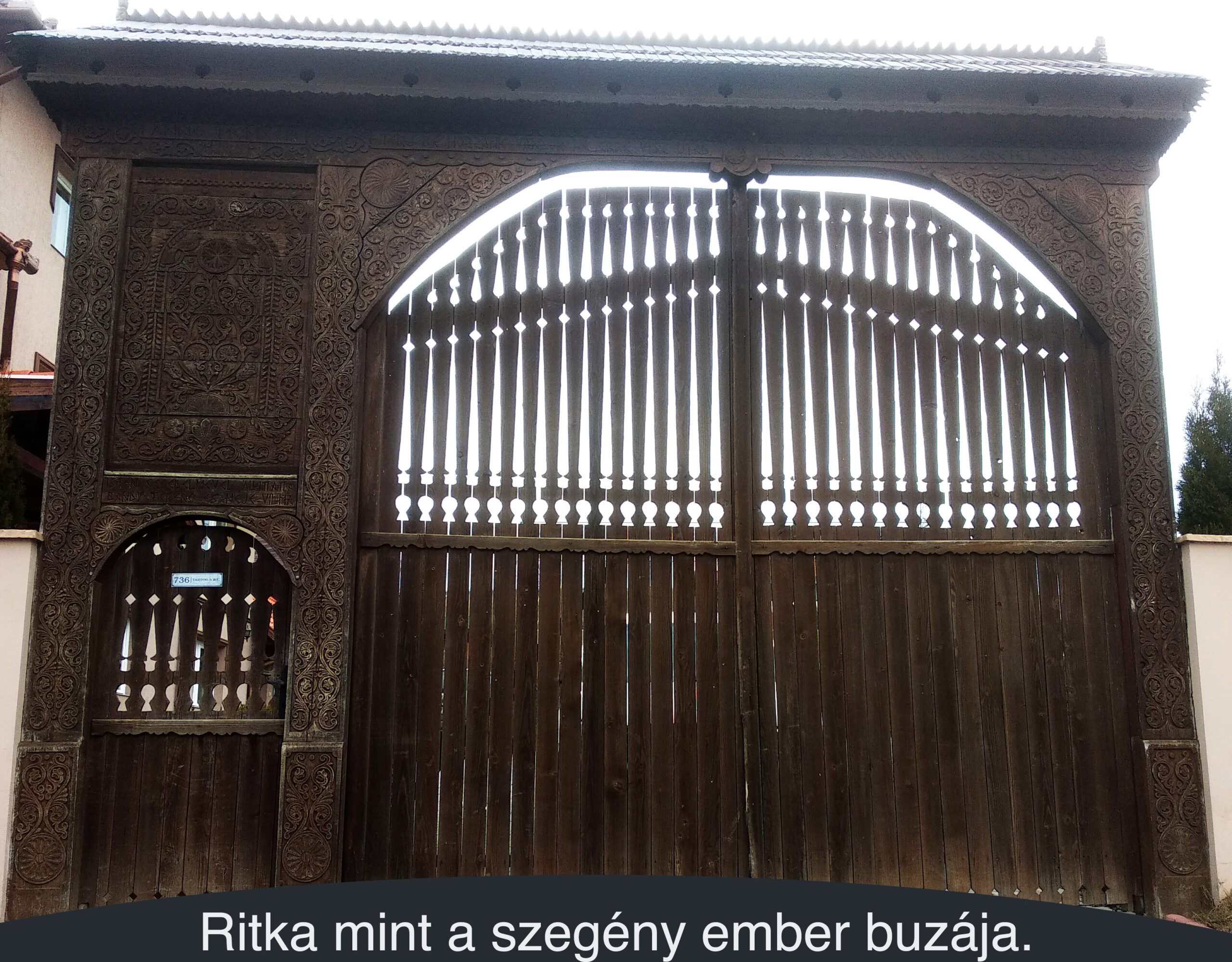 Ritka mint a szegény ember buzája.