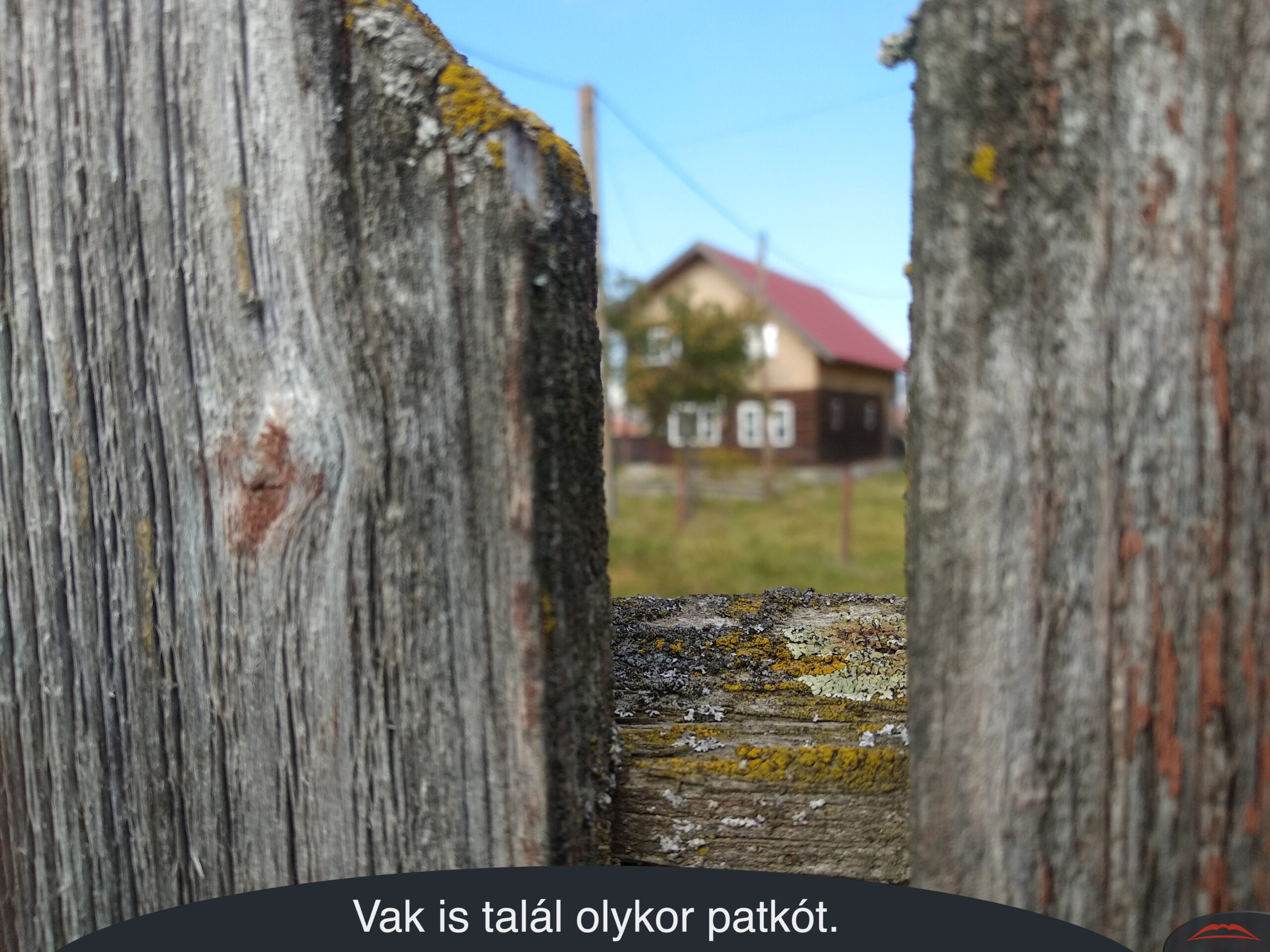 Vak is talál olykor patkót.