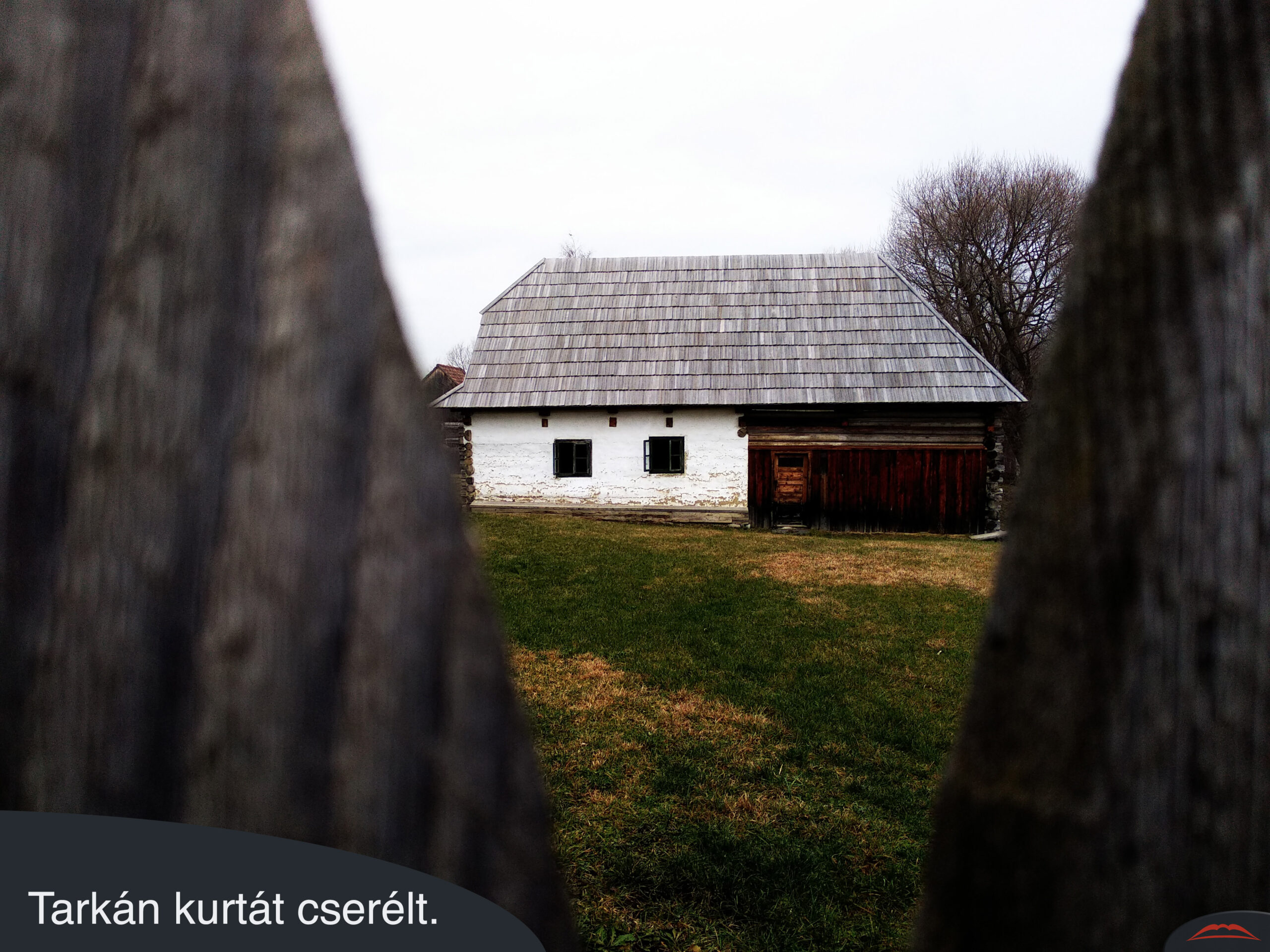 Tarkán kurtát cserélt.