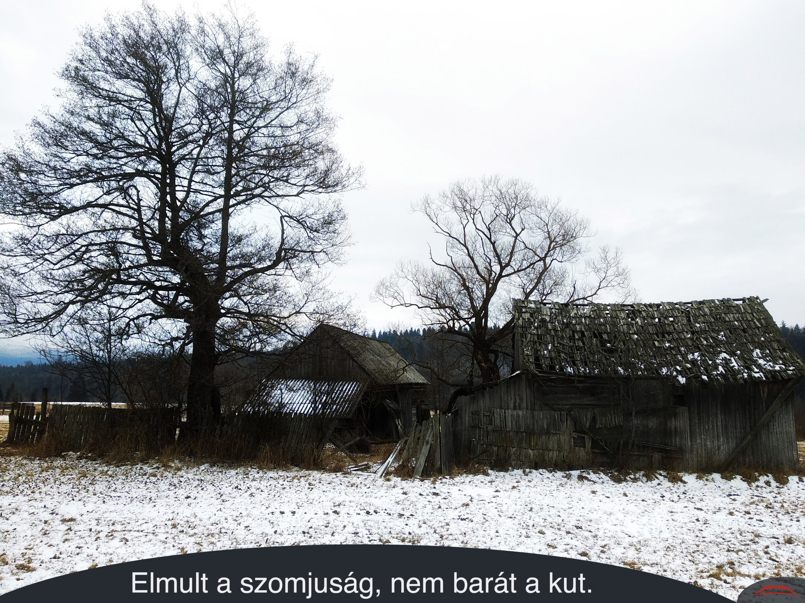 Elmult a szomjuság, nem barát a kut.