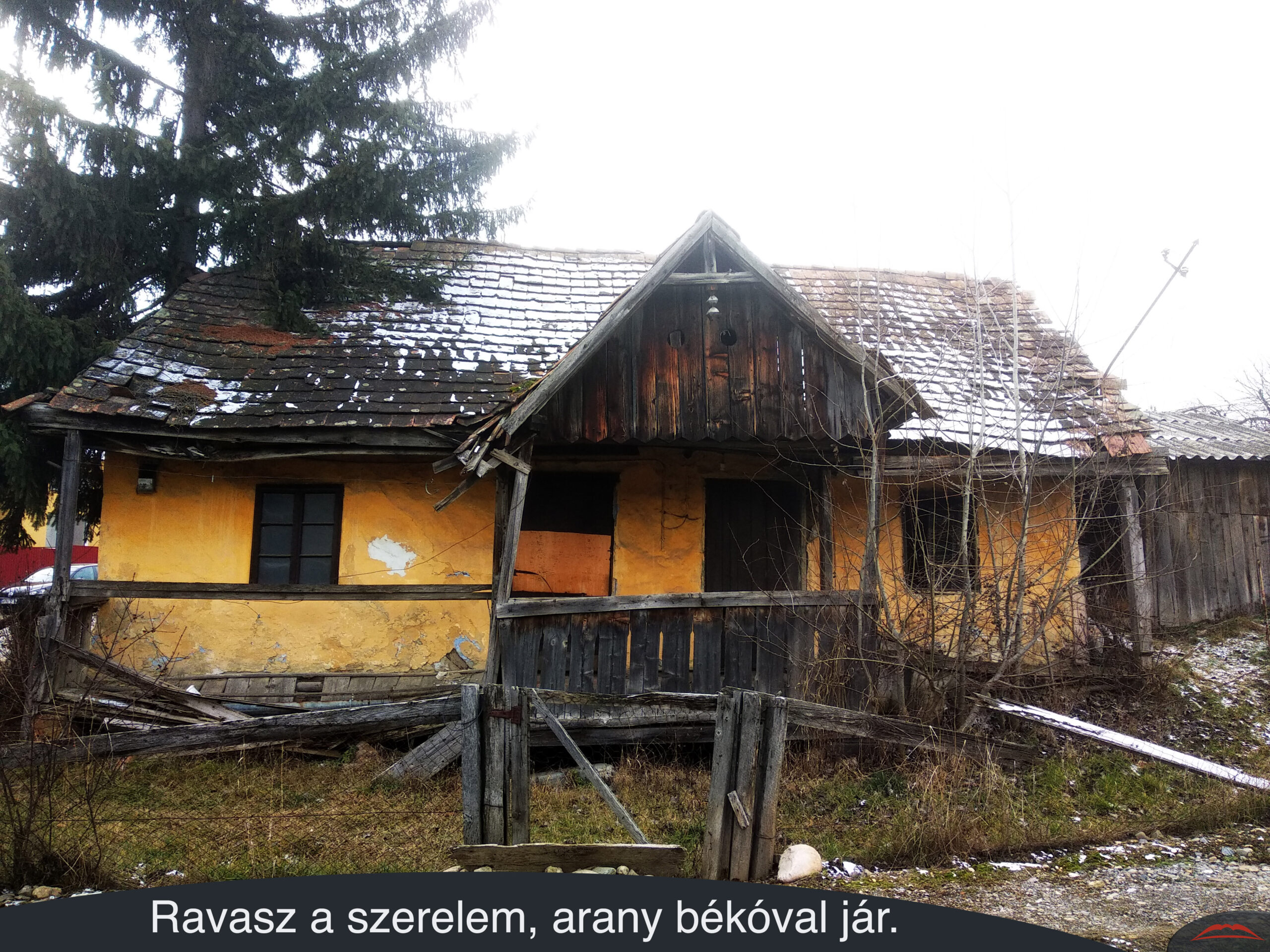 Ravasz a szerelem, arany békóval jár.