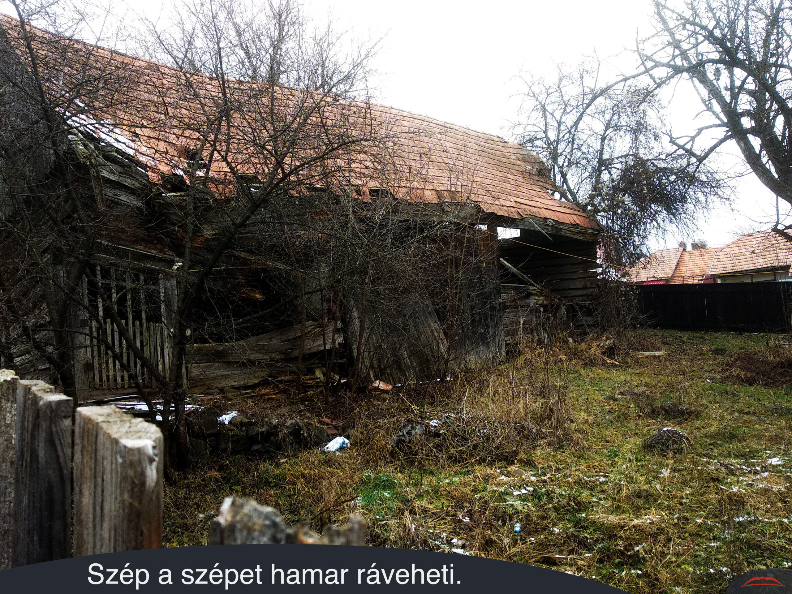 Szép a szépet hamar ráveheti.